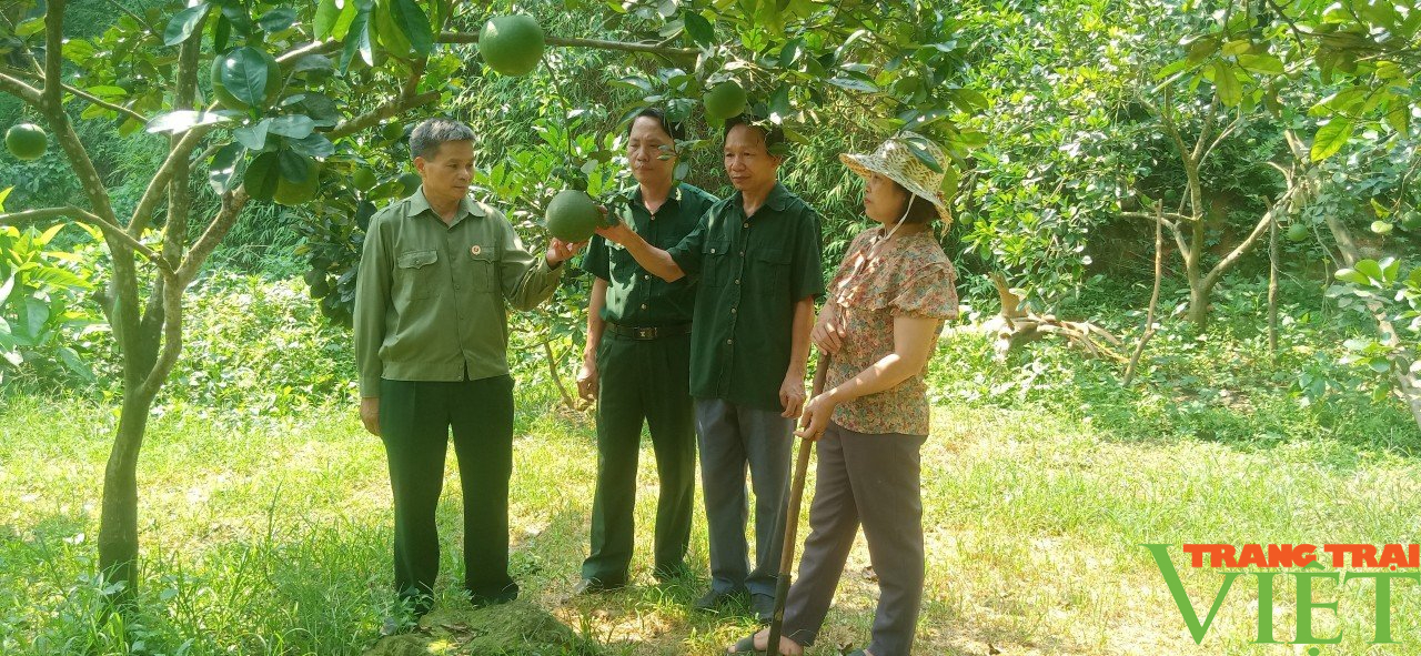 Cựu chiến binh tiên phong xây dưng nông thôn mới và phát triển kinh tế ở Lào Cai- Ảnh 2.