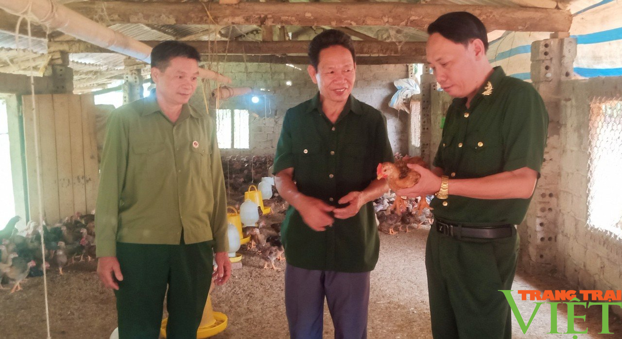 Cựu chiến binh tiên phong xây dưng nông thôn mới và phát triển kinh tế ở Lào Cai- Ảnh 3.