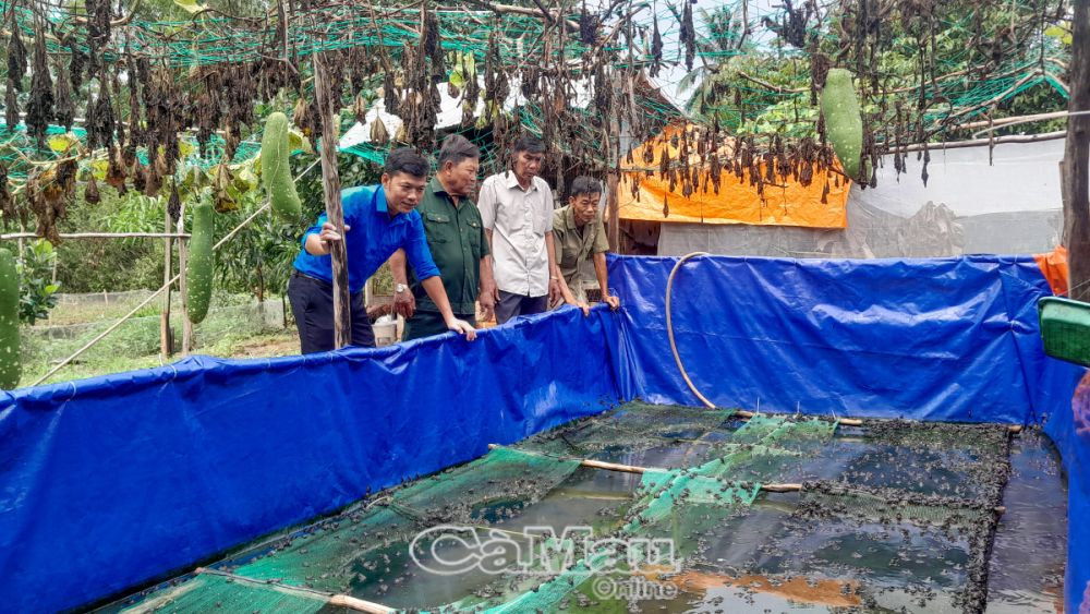 Nuôi đủ thứ con, ếch, dế, rắn mối, cựu chiến binh Cà Mau thu 150 triệu đồng nhàn tênh- Ảnh 1.