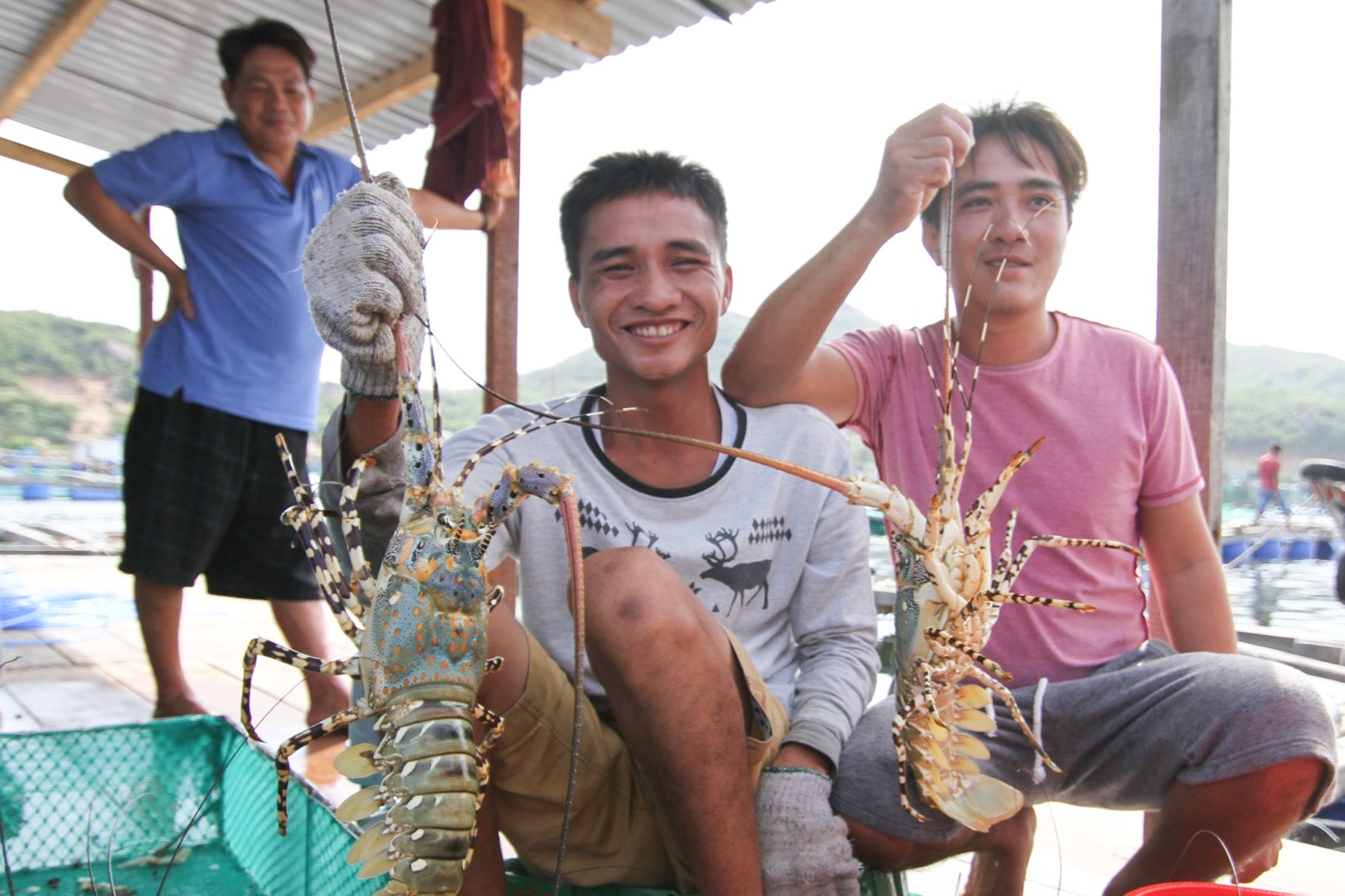 Khánh Hòa: Lần đầu tiên tổ chức lễ hội tôm hùm Cam Ranh- Ảnh 2.