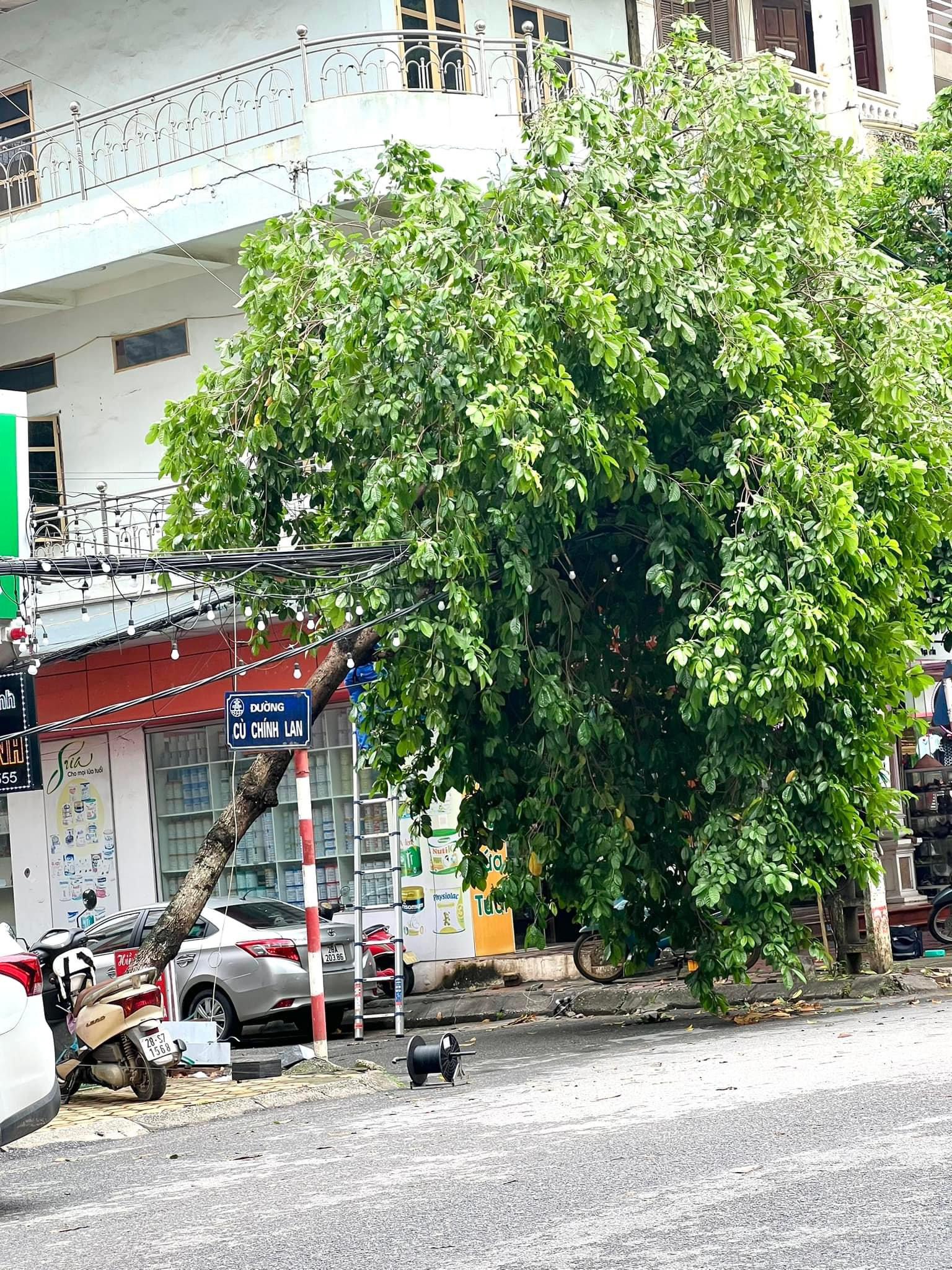 Mưa lớn ở Hoà Bình khiến nhà dân, cây trồng lại ngập lụt- Ảnh 9.