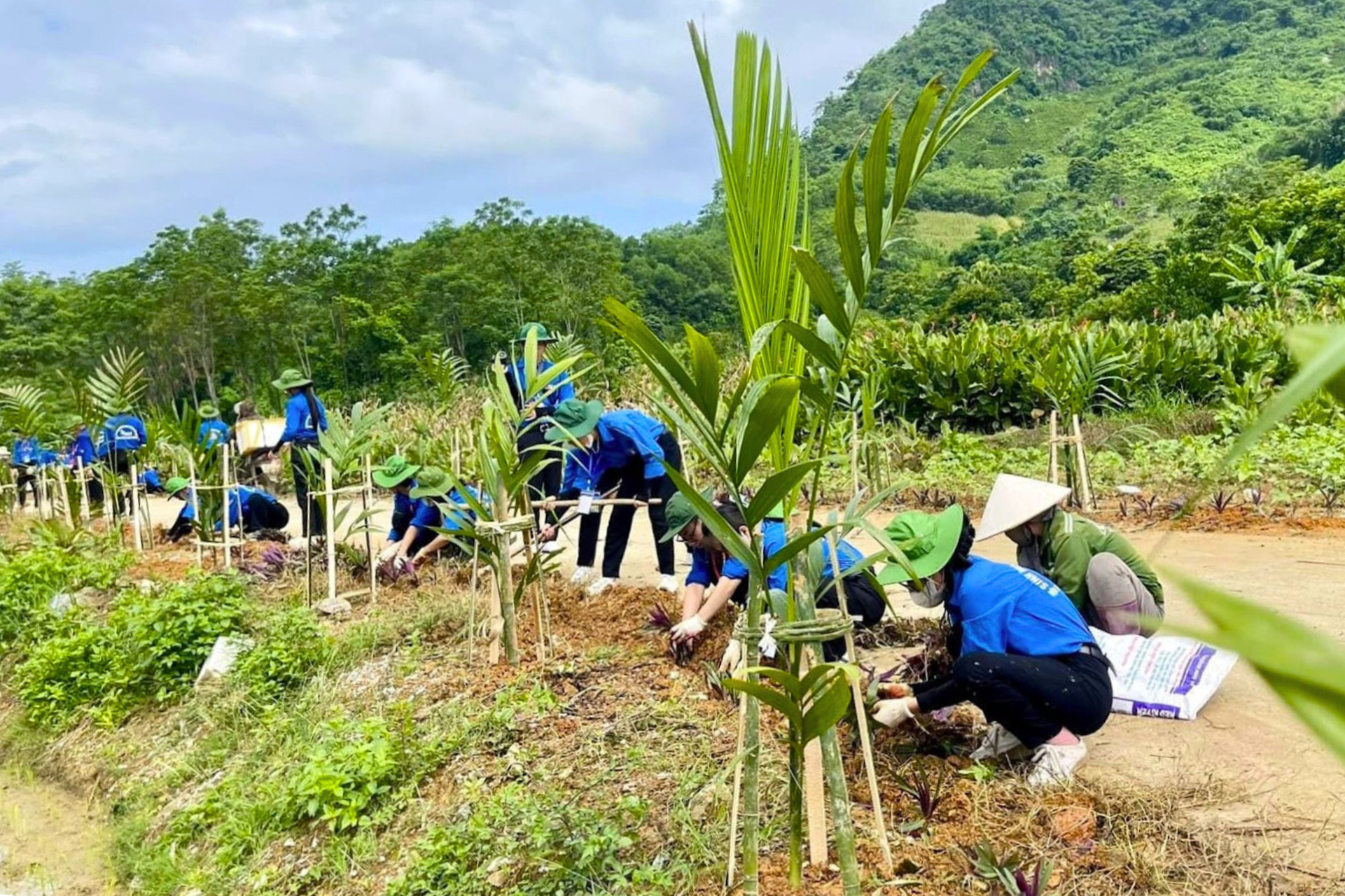 Sáng bừng đường quê, xanh mát nẻo xa: Chắp cánh cho Mùa hè Xanh