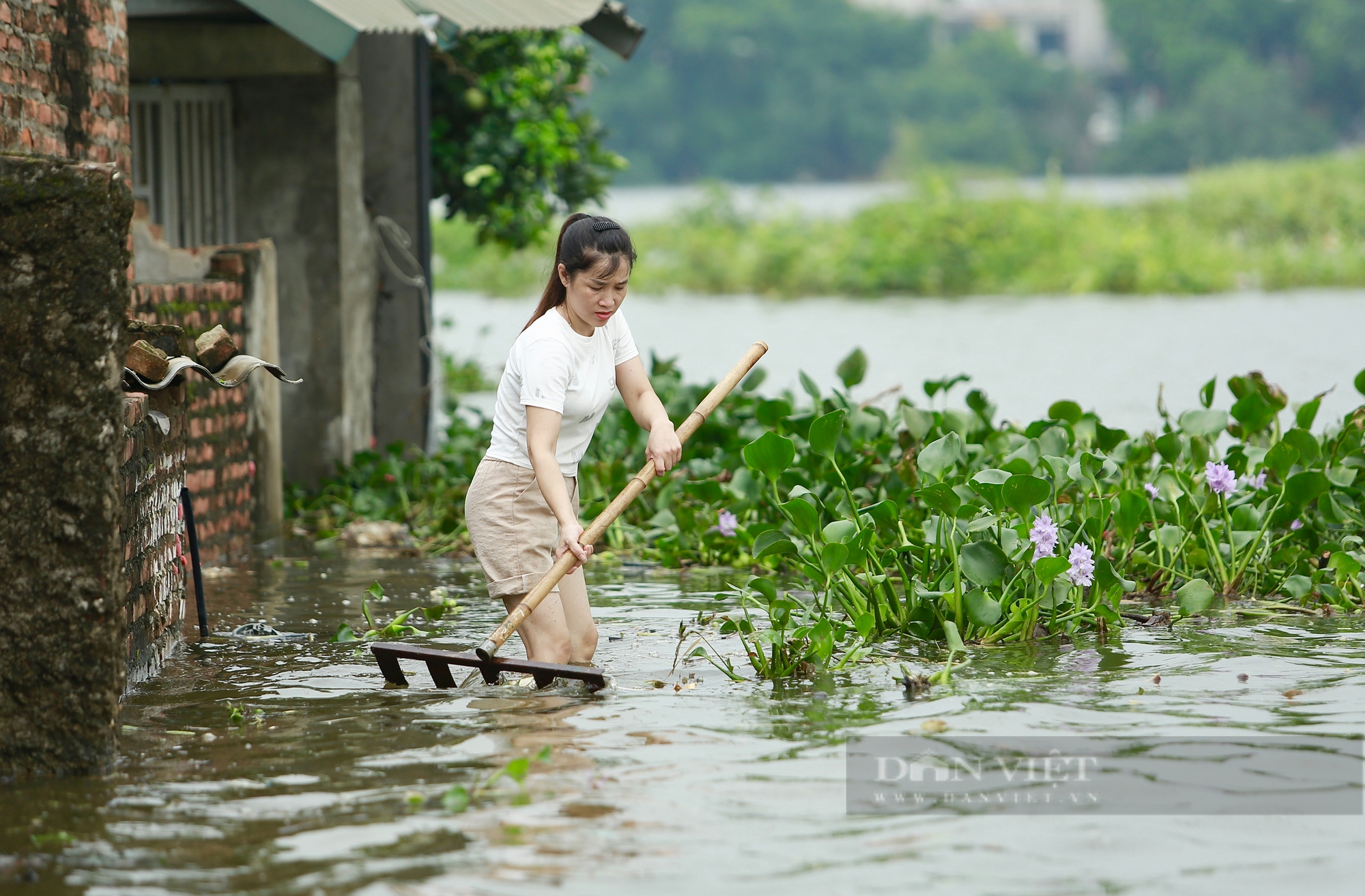 Ngoại thành Hà Nội ngập sâu, người dân xóm Bến Vôi bắc bếp nấu cơm trên biển nước- Ảnh 12.