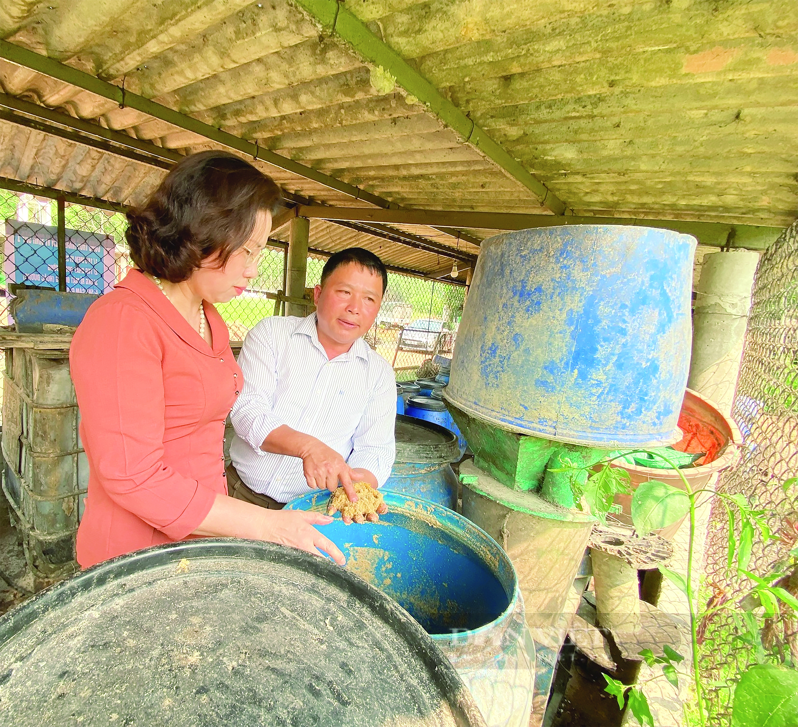 Phó Chủ tịch BCH T.Ư Hội NDVN Bùi Thị Thơm: Ngành chăn nuôi có sự đóng góp của hàng triệu hộ nông dân- Ảnh 2.