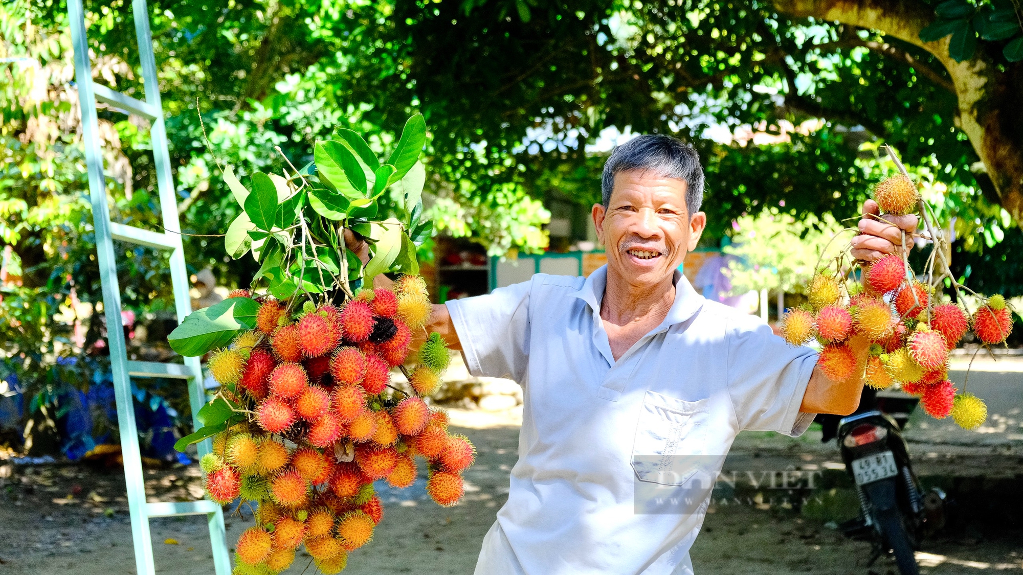 Du khách sảng khoái khi bước vào vườn trái cây được“hái tận tay, ăn ngay tại chỗ" ở Ninh Thuận- Ảnh 2.