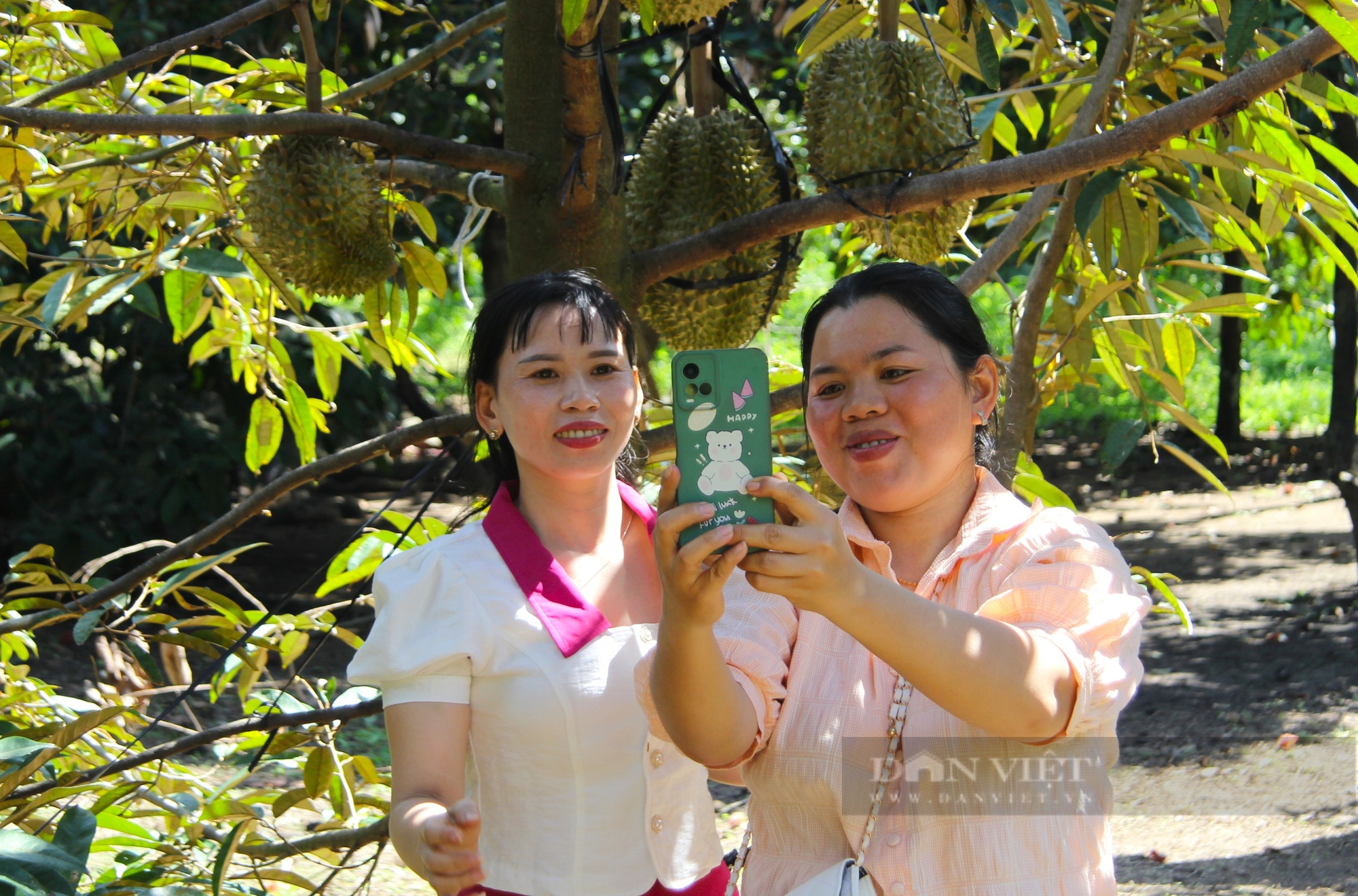 Du khách sảng khoái khi bước vào vườn trái cây được“hái tận tay, ăn ngay tại chỗ" ở Ninh Thuận- Ảnh 4.