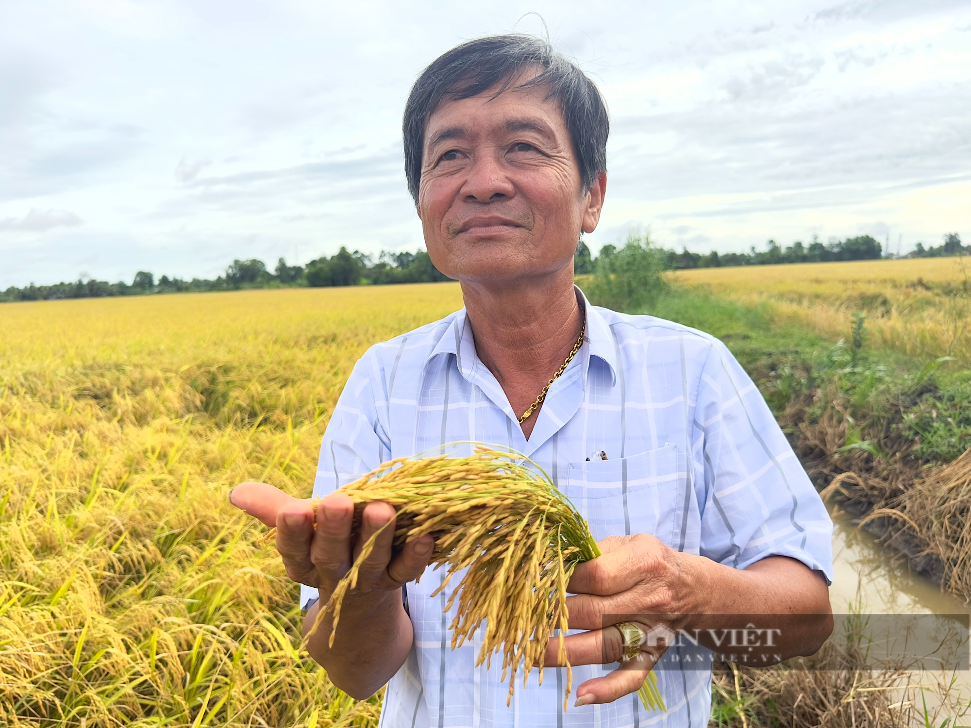 Một hợp tác xã ở Hậu Giang, trồng lúa kiểu mới thu lãi 36 triệu đồng/ha, lần đầu tiên còn bán được cả... báo cáo- Ảnh 2.