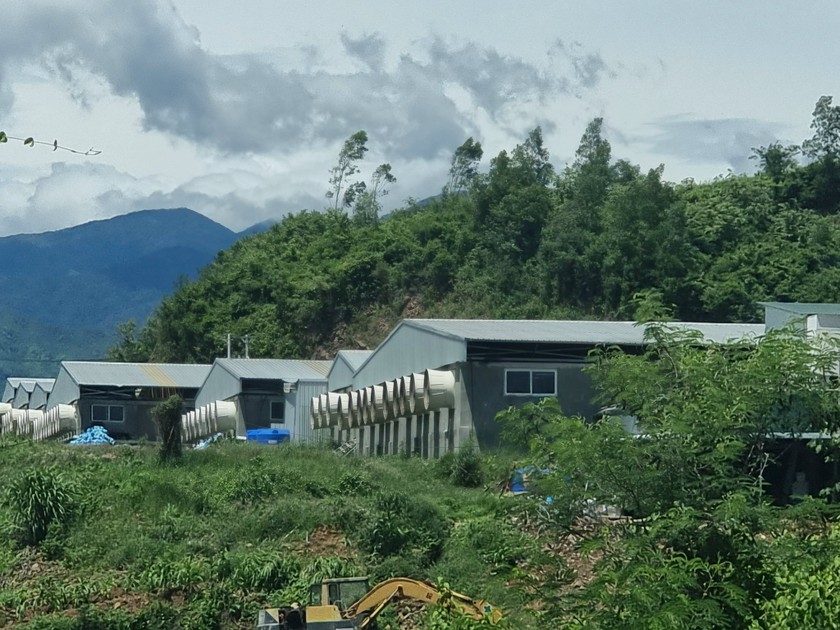 Một trại heo xây trái phép trên đất rừng ở Khánh Hòa bị xử phạt hành chính trên 170 triệu đồng- Ảnh 1.