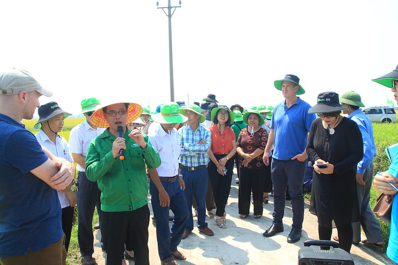 ThaiBinh Seed tiếp tục triển khai chương trình sản xuất lúa bền vững và giảm phát thải khí nhà kính- Ảnh 2.