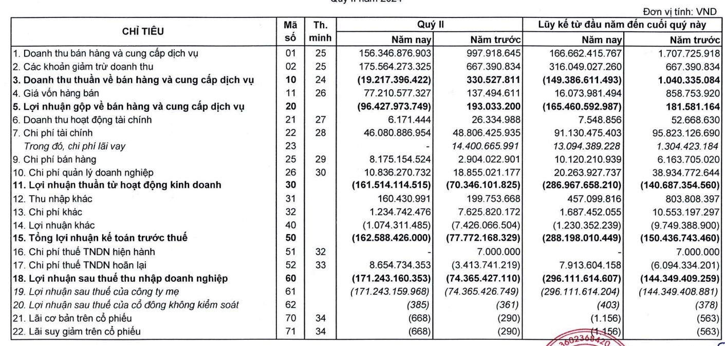 Đầu tư LDG báo lỗ hơn 269 tỷ đồng, ghi nhận 7 quý liên tiếp lỗ- Ảnh 2.