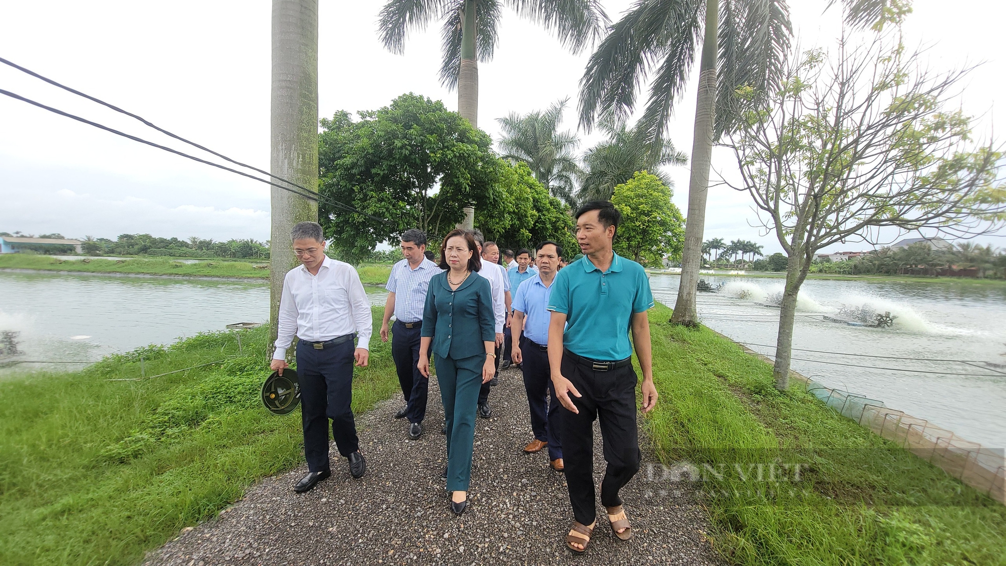 Phó Chủ tịch T.Ư Hội Nông dân Việt Nam Bùi Thị Thơm ấn tượng với mô hình sản xuất của hội viên ở Hải Dương- Ảnh 2.