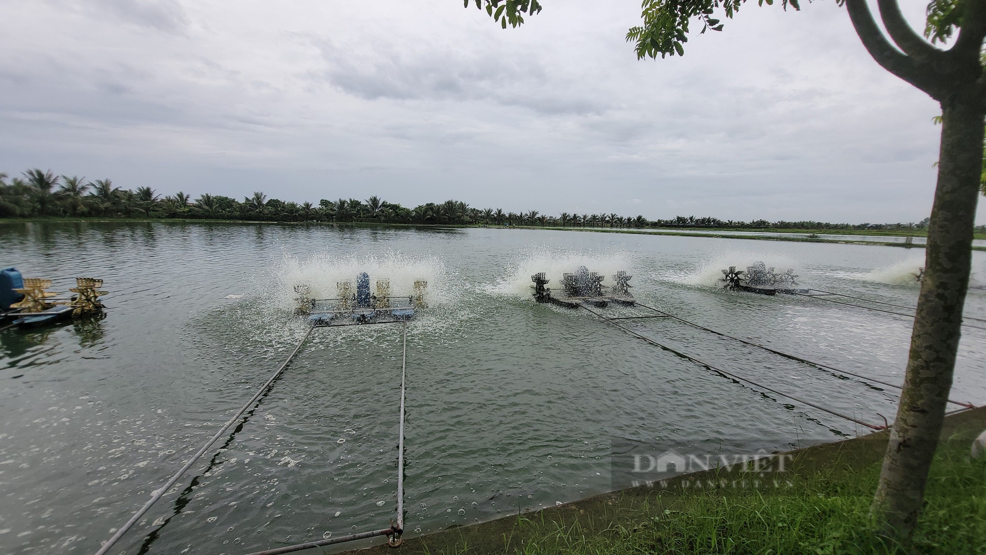 Phó Chủ tịch T.Ư Hội Nông dân Việt Nam Bùi Thị Thơm ấn tượng với mô hình sản xuất của hội viên ở Hải Dương- Ảnh 3.