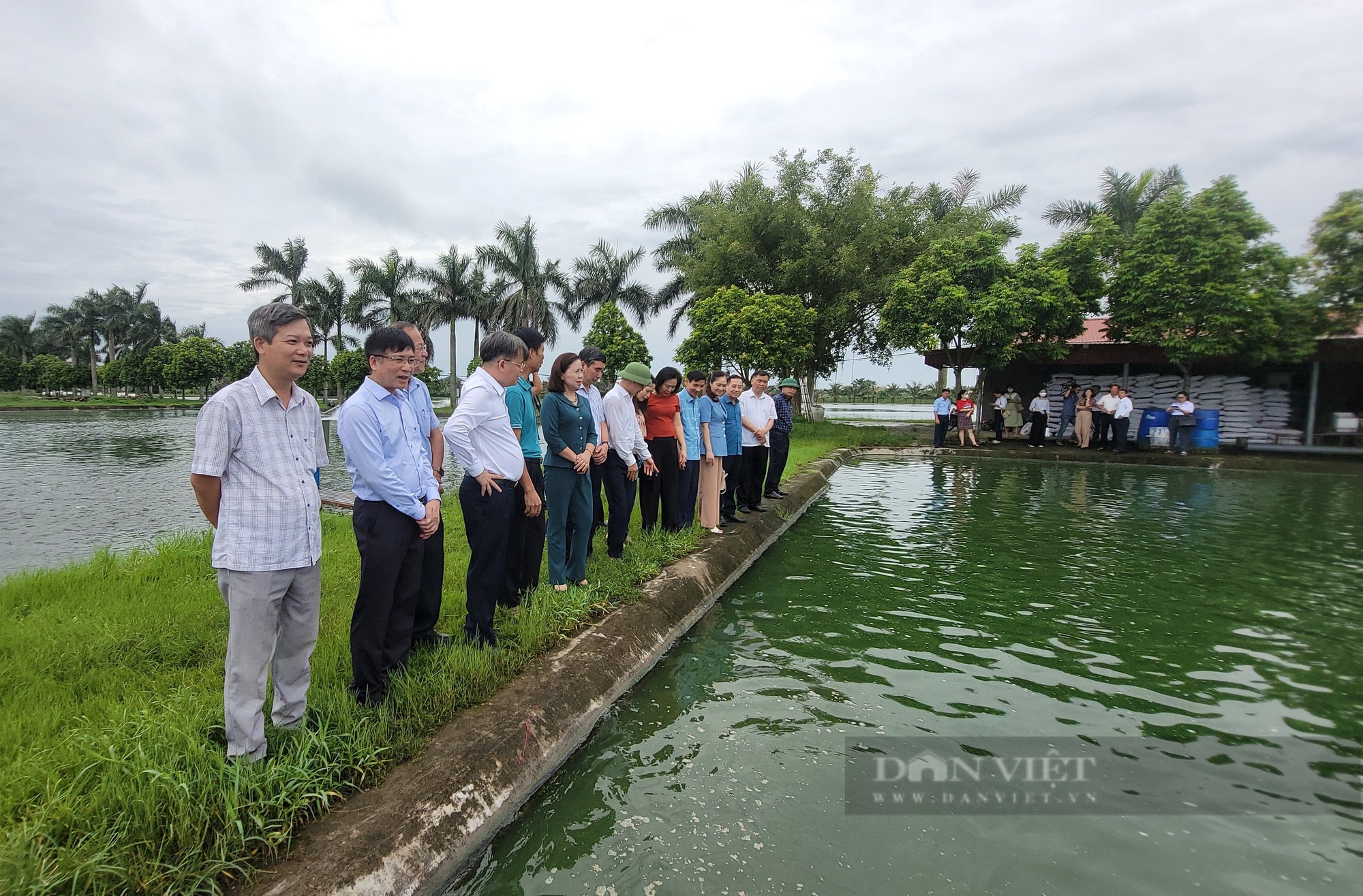 Phó Chủ tịch T.Ư Hội Nông dân Việt Nam Bùi Thị Thơm ấn tượng với mô hình sản xuất của hội viên ở Hải Dương- Ảnh 4.