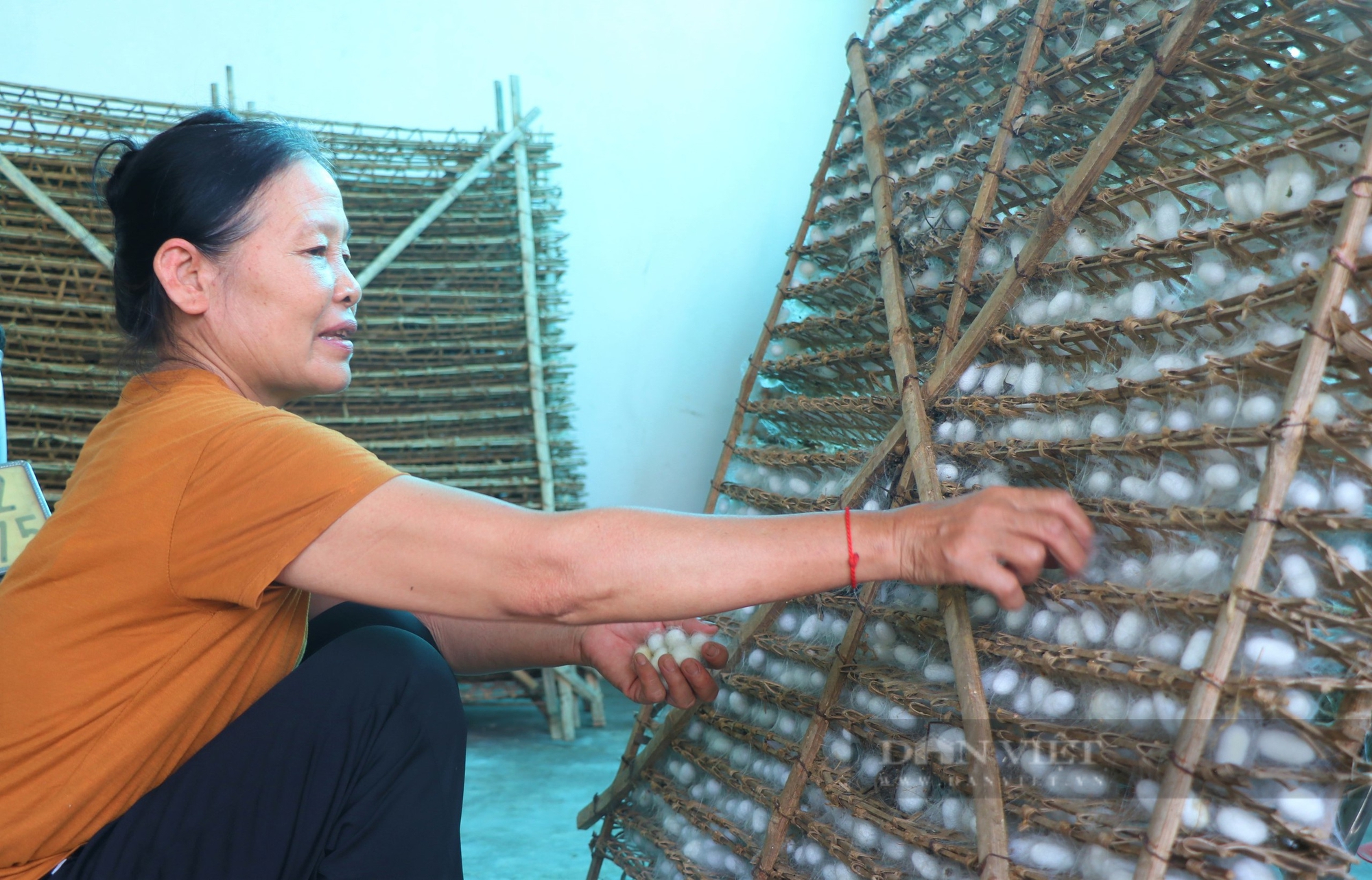 Nuôi tằm, con động vật nhai lá dâu cả ngày, nuôi kiểu gì mà nông dân nơi này của Nghệ An 4 tỷ/năm?- Ảnh 4.