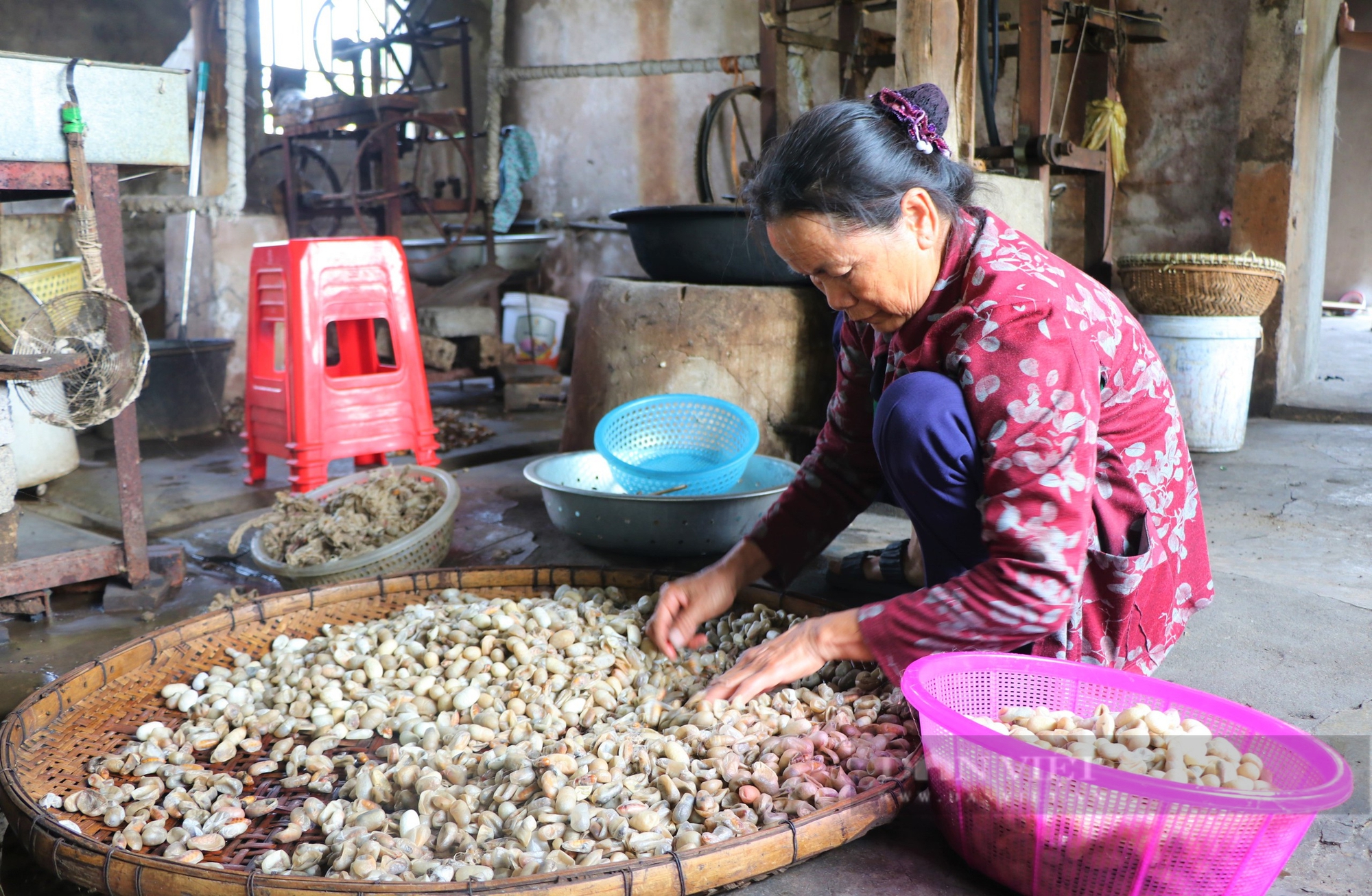 Nuôi tằm, con động vật nhai lá dâu cả ngày, nuôi kiểu gì mà nông dân nơi này của Nghệ An 4 tỷ/năm?- Ảnh 7.