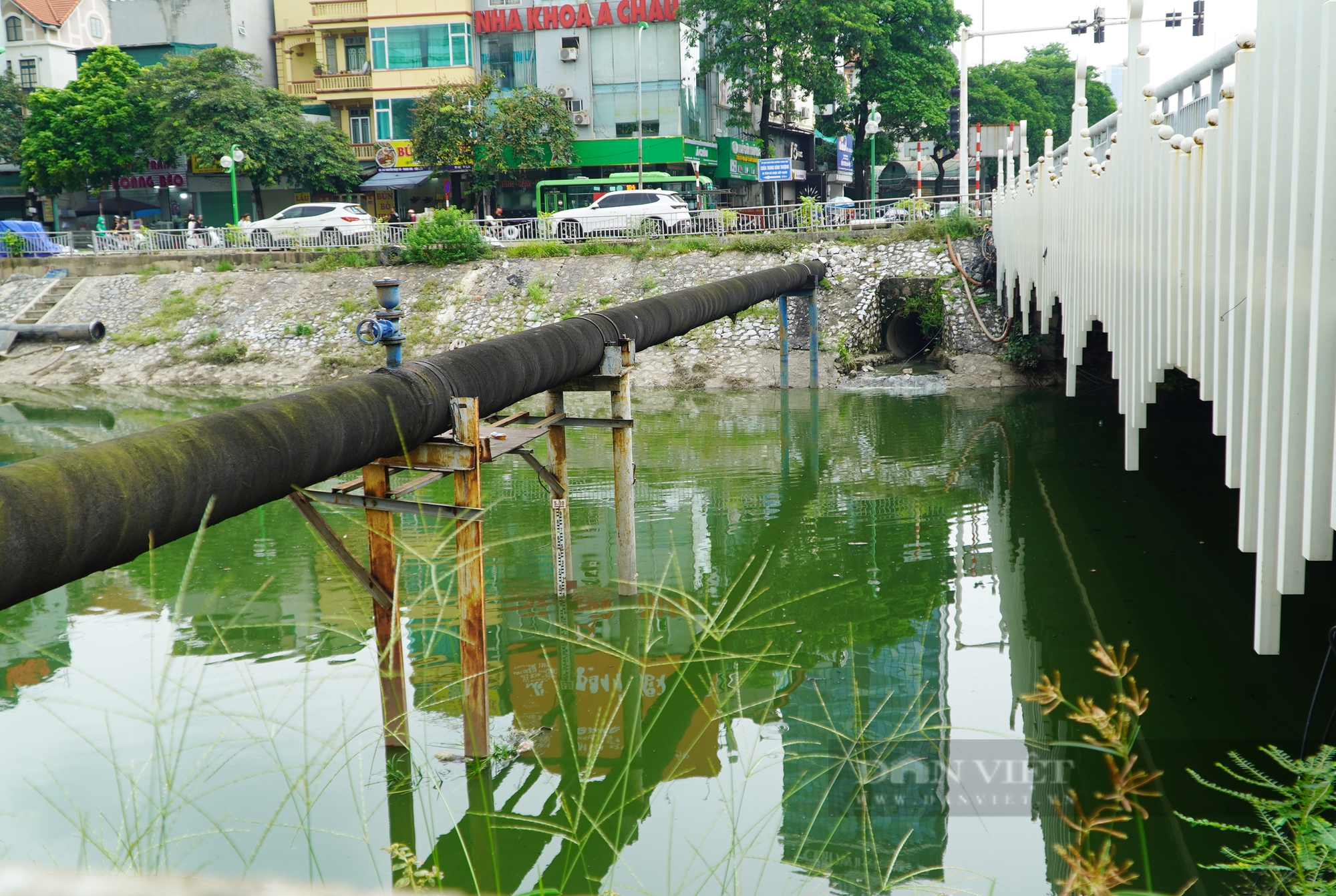 Người Hà Nội ngỡ ngàng trước cảnh nước sông Tô Lịch bỗng chuyển màu xanh- Ảnh 4.