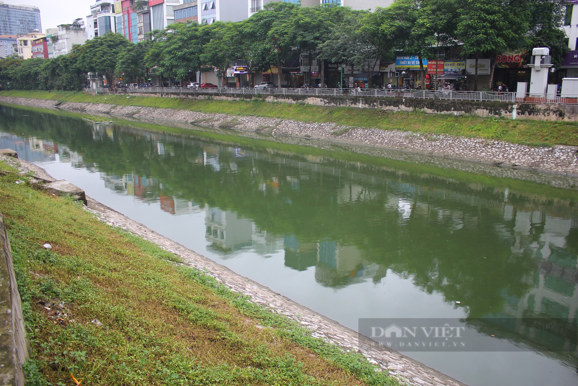 Người Hà Nội ngỡ ngàng trước cảnh nước sông Tô Lịch bỗng chuyển màu xanh- Ảnh 6.