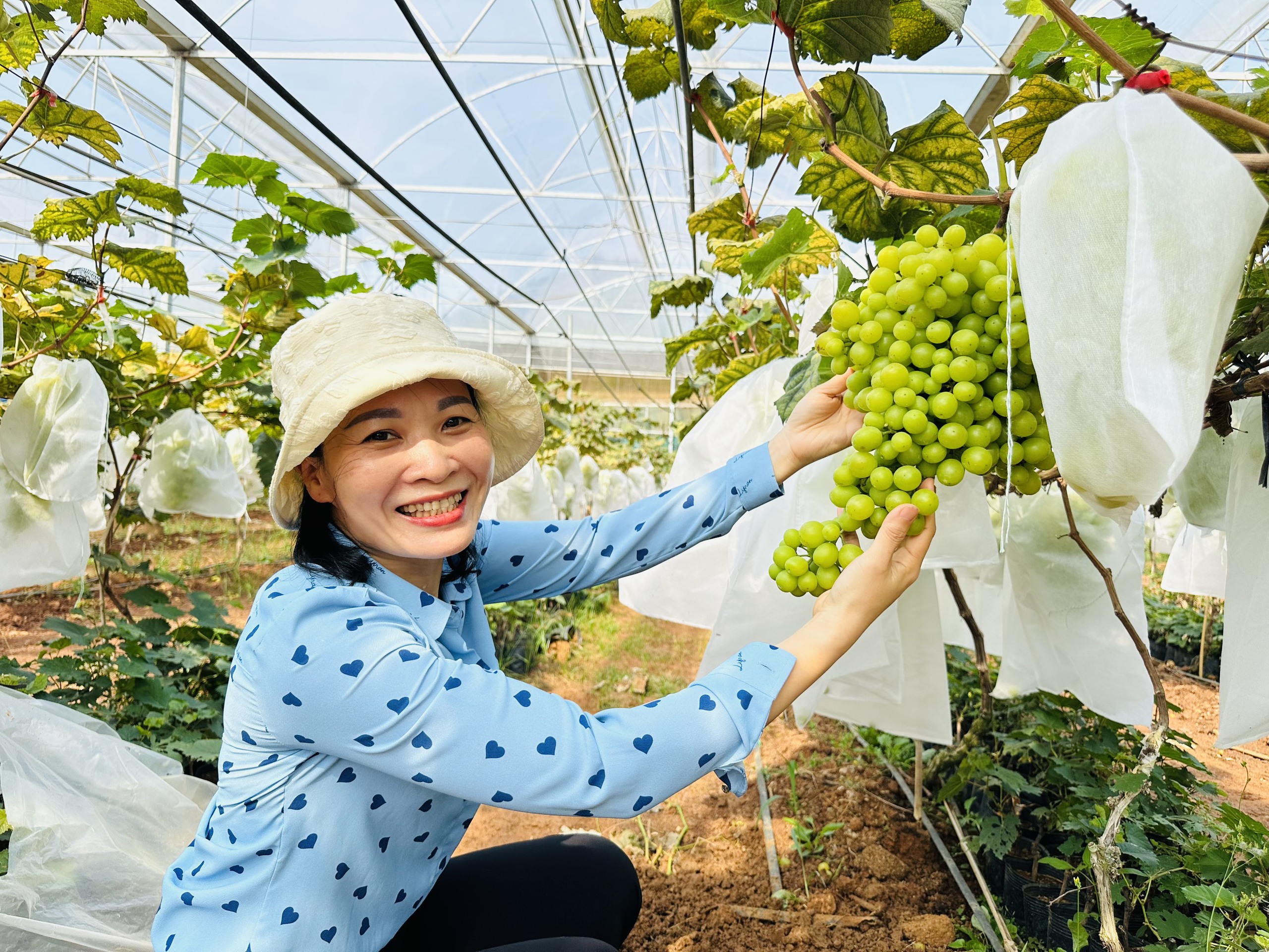 Hội Nông dân tỉnh Quảng Ninh học tập kinh nghiệm sản xuất nông nghiệp hữu cơ tại Sơn La- Ảnh 2.