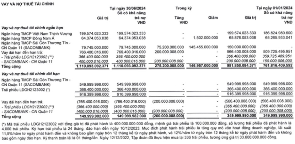 Đầu tư LDG báo lỗ hơn 269 tỷ đồng, ghi nhận 7 quý liên tiếp lỗ- Ảnh 4.