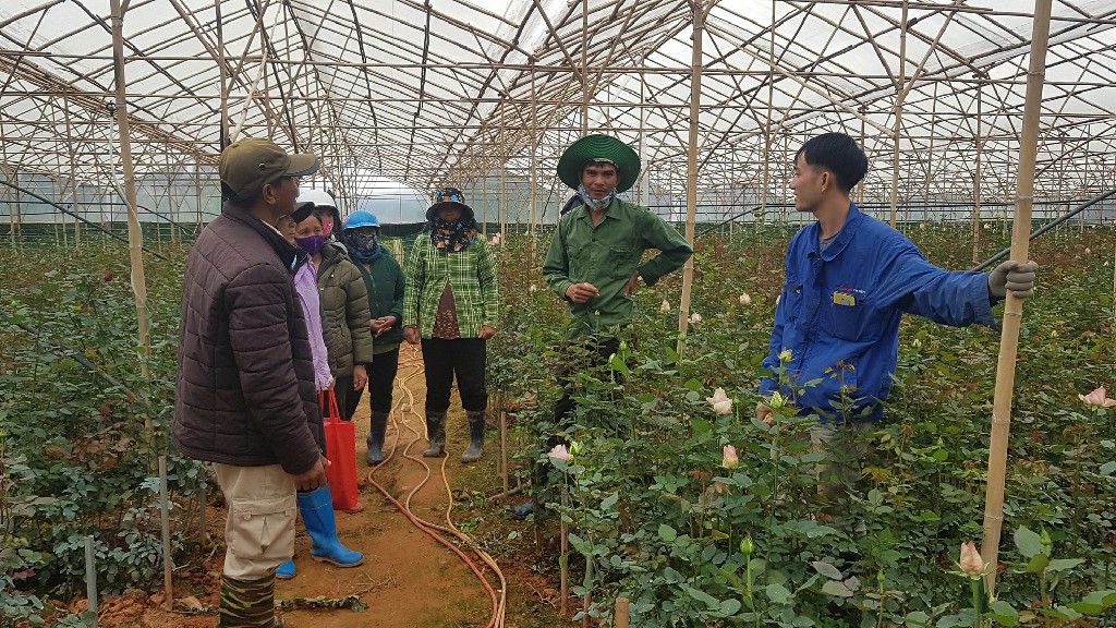 Huyện Lạc Dương (Lâm Đồng) sẽ khởi kiện nếu doanh nghiệp thuê đất làm nông nghiệp không trả tiền cho dân- Ảnh 3.