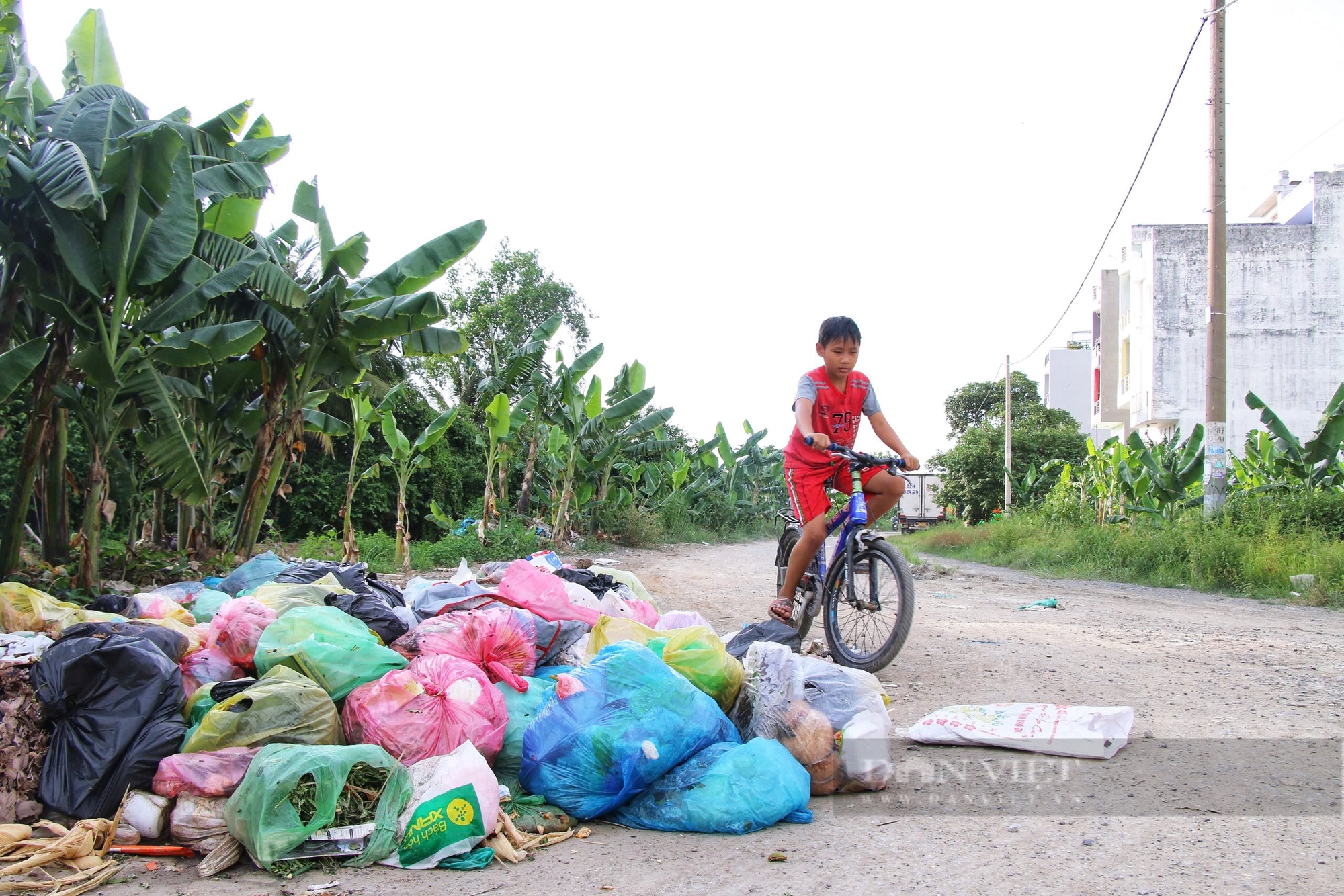 Sống như "người rừng" giữa lòng thành phố- Ảnh 2.