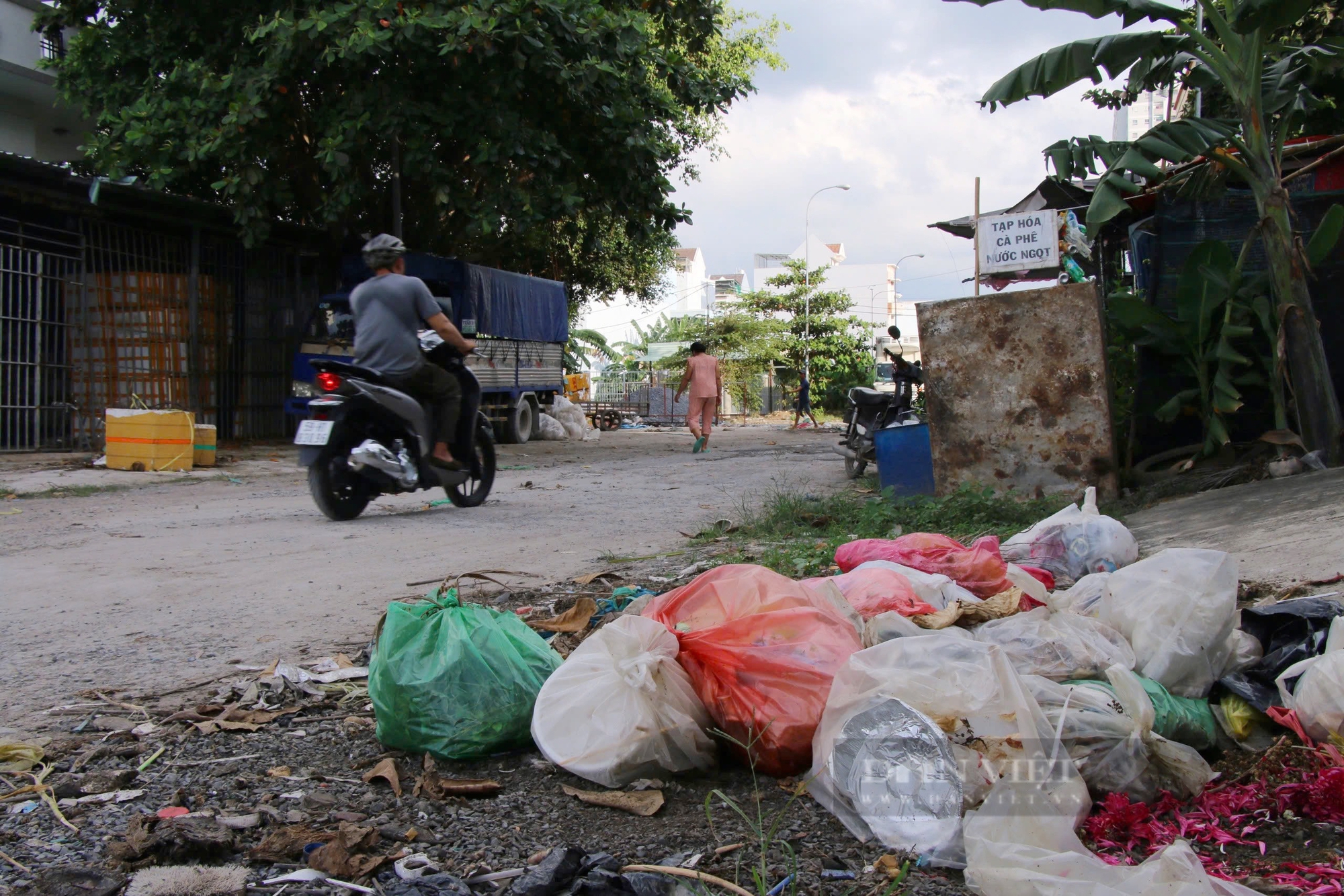 Sống như "người rừng" giữa lòng thành phố- Ảnh 4.