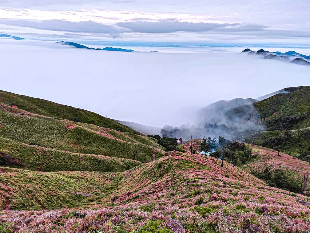 Cô gái 26 tuổi bỏ công việc văn phòng với mức lương ổn định, lên núi trở thành trekking tự do- Ảnh 6.