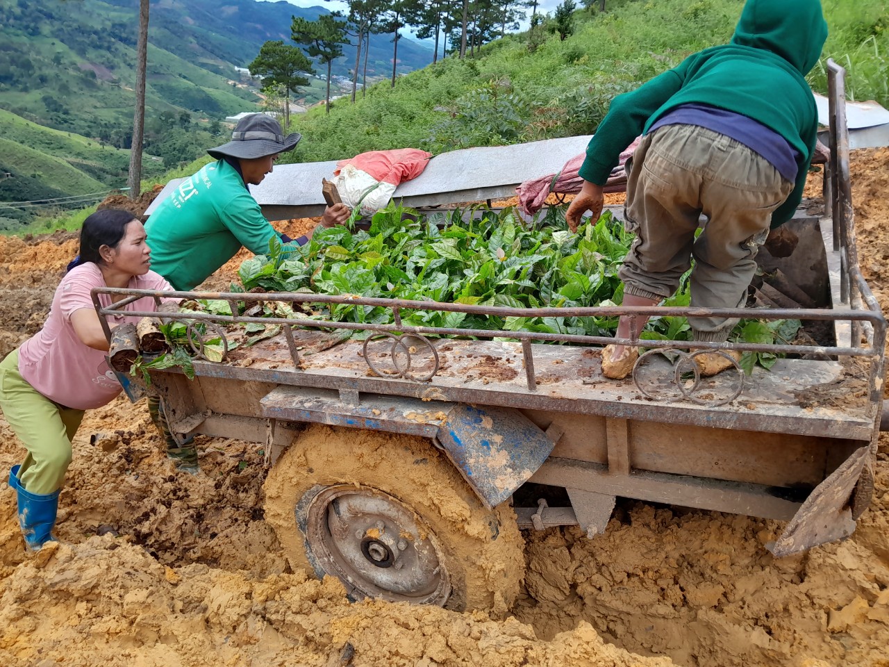 Người dân chật vật đi trên con đường tránh của dự án thủy điện Đạ Dâng- Ảnh 1.