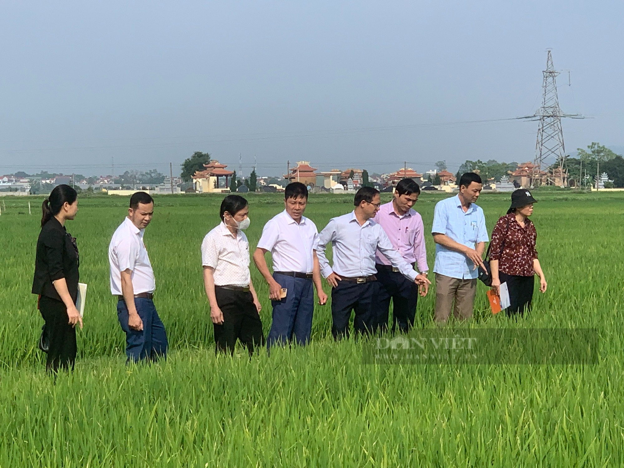 Một ông nông dân Thanh Hóa bỏ ra hàng chục tỷ xây nhà máy xay xát gạo công suất lớn nhất tỉnh- Ảnh 7.