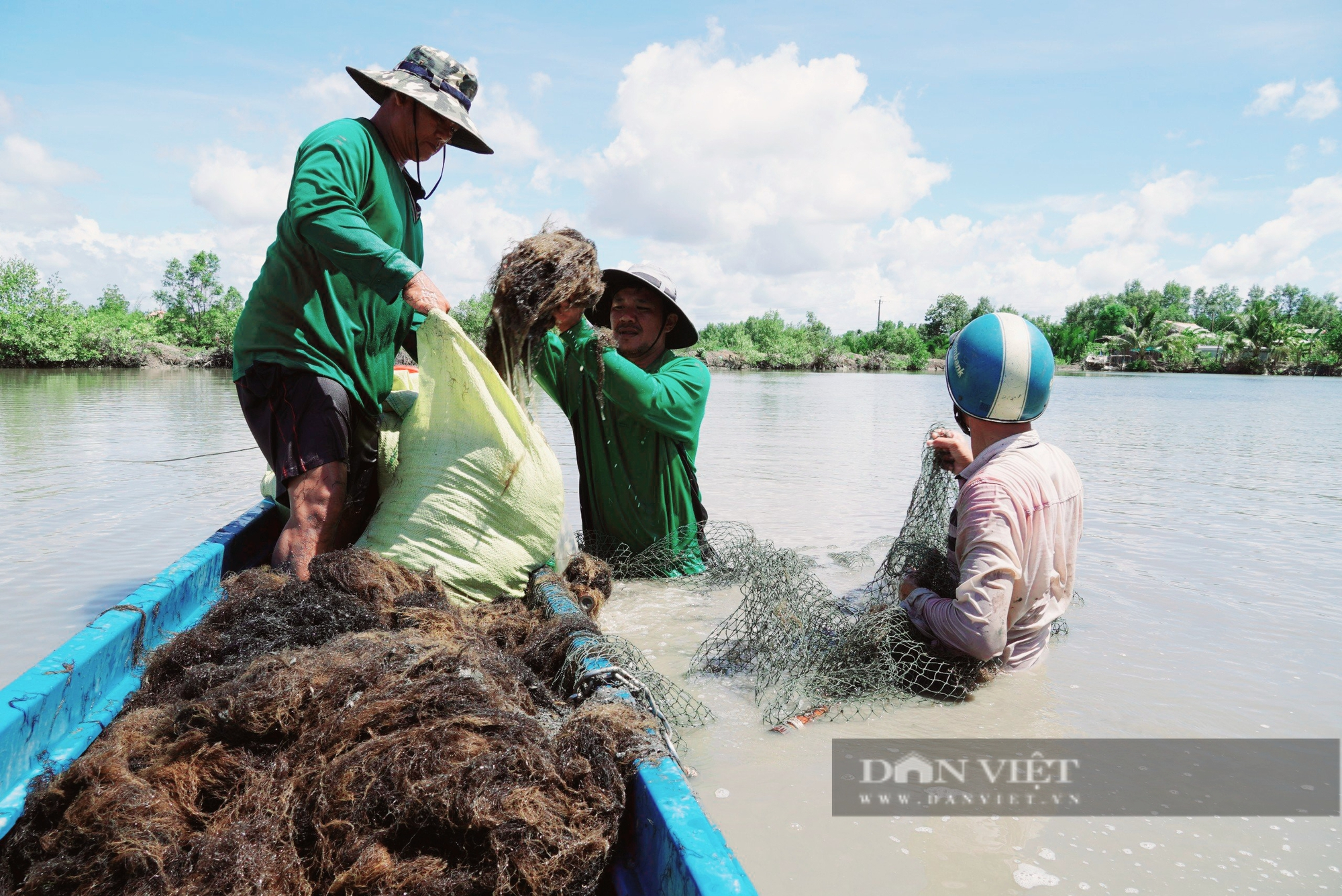 Vô một xã ở Cà Mau thấy dân quây lưới, cứ ngỡ bắt cá to bự, hóa ra đi bắt rong câu ăn bổ dưỡng- Ảnh 3.