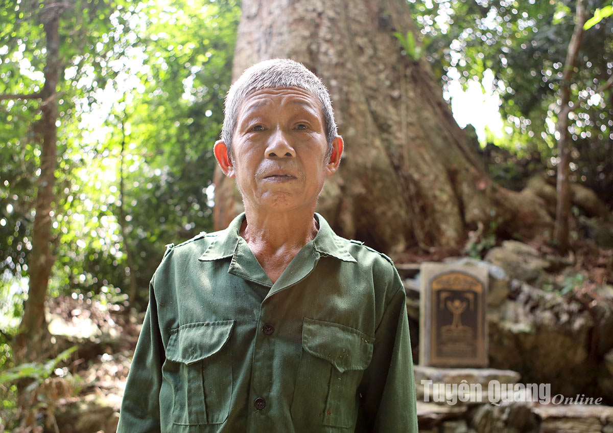 Khu rừng ở Tuyên Quang có 2 cây cổ thụ 1.000 năm tuổi như báu vật, sễnh ra là dân lo bị chặt trộm- Ảnh 3.