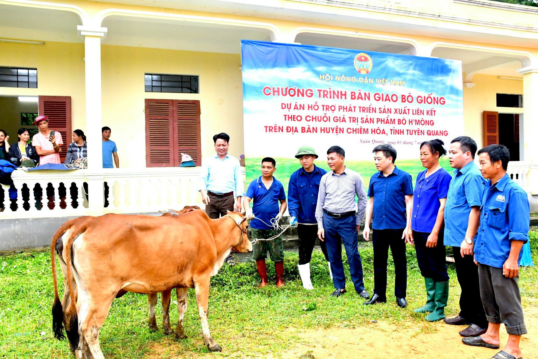 TƯ Hội NDVN hỗ trợ 120 con bò giống H'Mông cho nông dân huyện Chiêm Hóa, tỉnh Tuyên Quang- Ảnh 2.