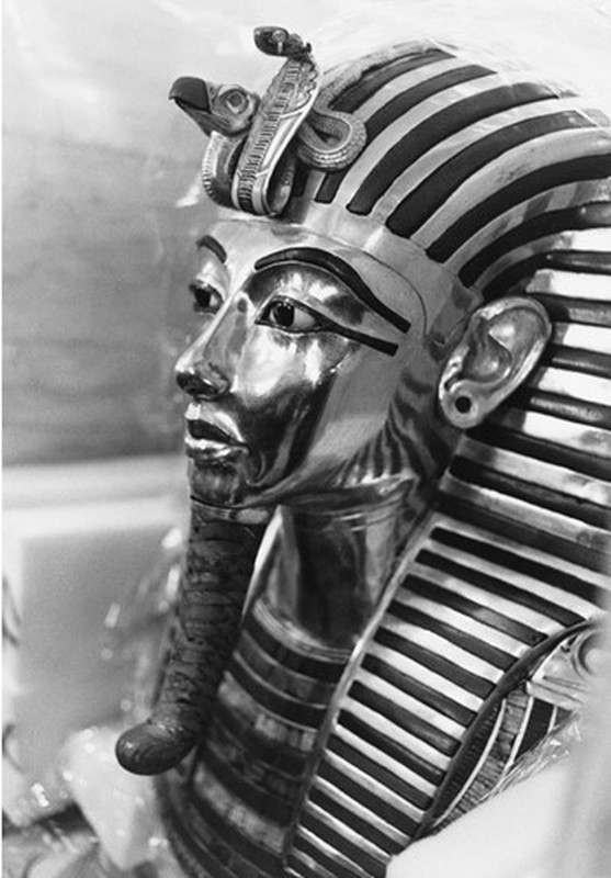 Đi săn hà mã, pharaoh Tutankhamun bị “thủy quái” giết chết thảm thương?- Ảnh 6.