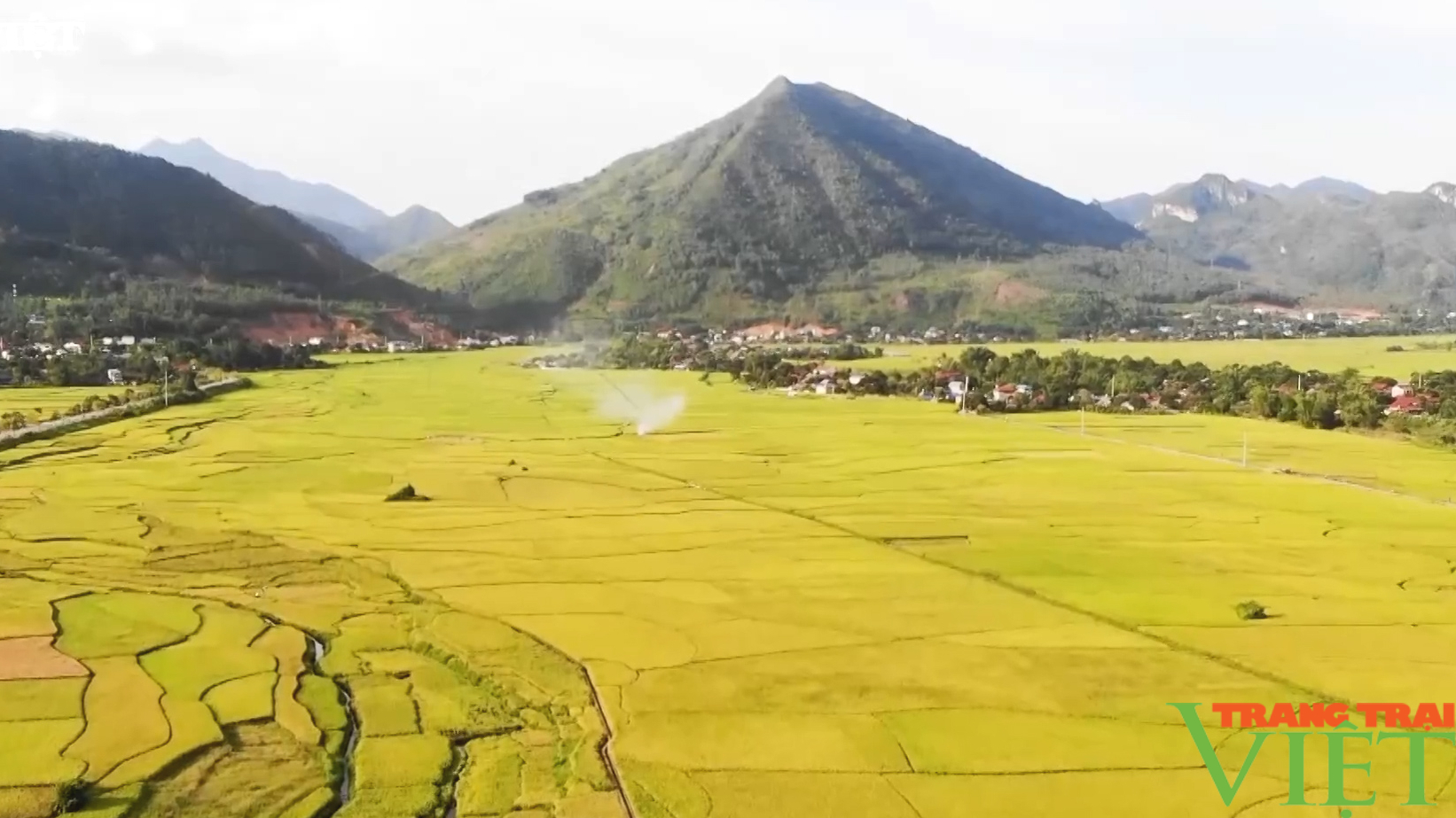 Sản xuất lúa hữu cơ gắn với mô hình “ruộng nhà mình” đem lại hiệu quả cao- Ảnh 1.