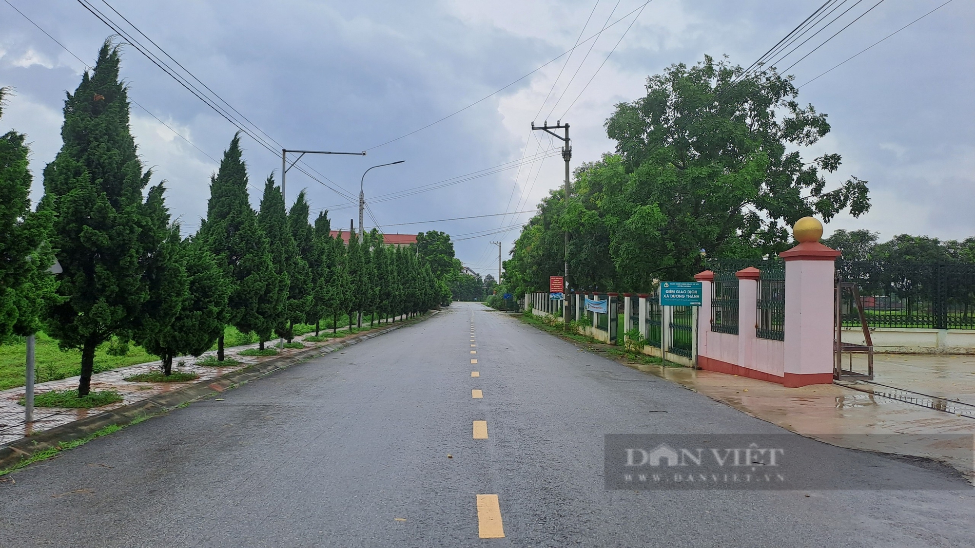 Thái Nguyên: Nông thôn mới ở huyện Phú Bình lan tỏa mô hình “nhà 3 sạch", "vườn kiểu mẫu"- Ảnh 3.