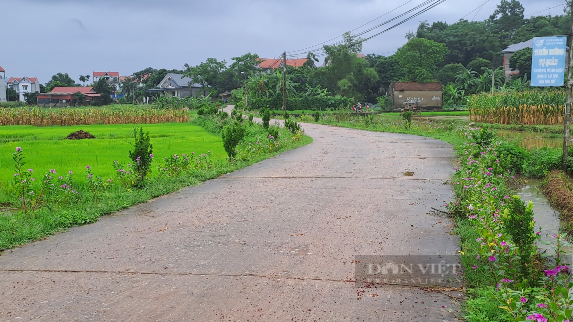 Thái Nguyên: Nông thôn mới ở huyện Phú Bình lan tỏa mô hình “nhà 3 sạch", "vườn kiểu mẫu"- Ảnh 1.