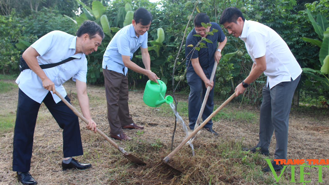 Nhiều hoạt động phối hợp giữa Hội Nông dân Sơn La và Hưng Yên- Ảnh 6.