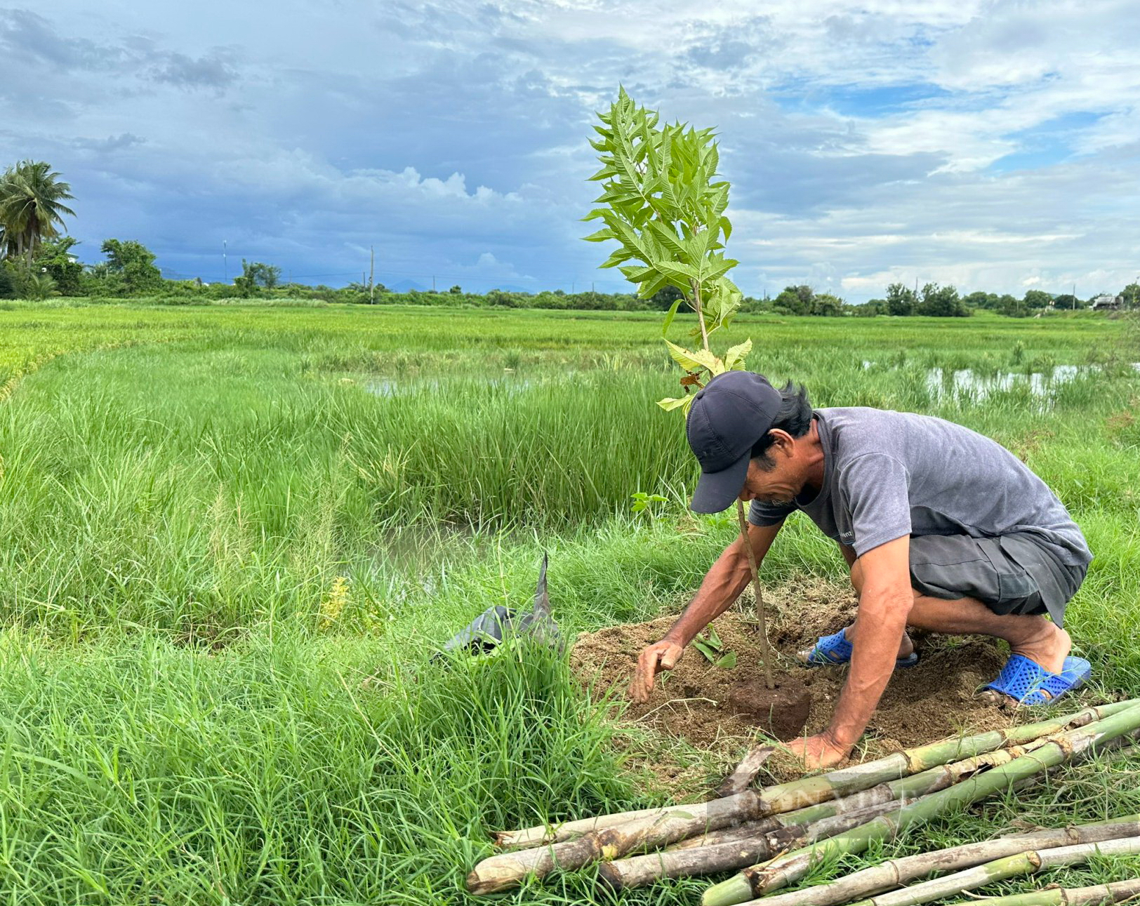 Một xã ở Bình Thuận trồng hoa, trồng cây cảnh ở tuyến đường hoa nông dân, chả mấy mà đẹp như phim- Ảnh 2.