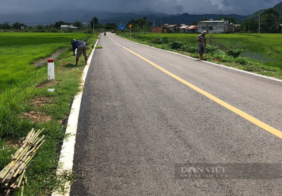 Một xã ở Bình Thuận trồng hoa, trồng cây cảnh ở tuyến đường hoa nông dân, chả mấy mà đẹp như phim- Ảnh 3.