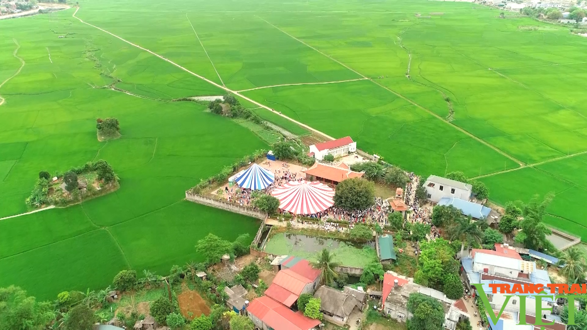 Phù Yên (Sơn La): Lễ "mừng cơm mới" gắn với mô hình "ruộng nhà mình"- Ảnh 1.