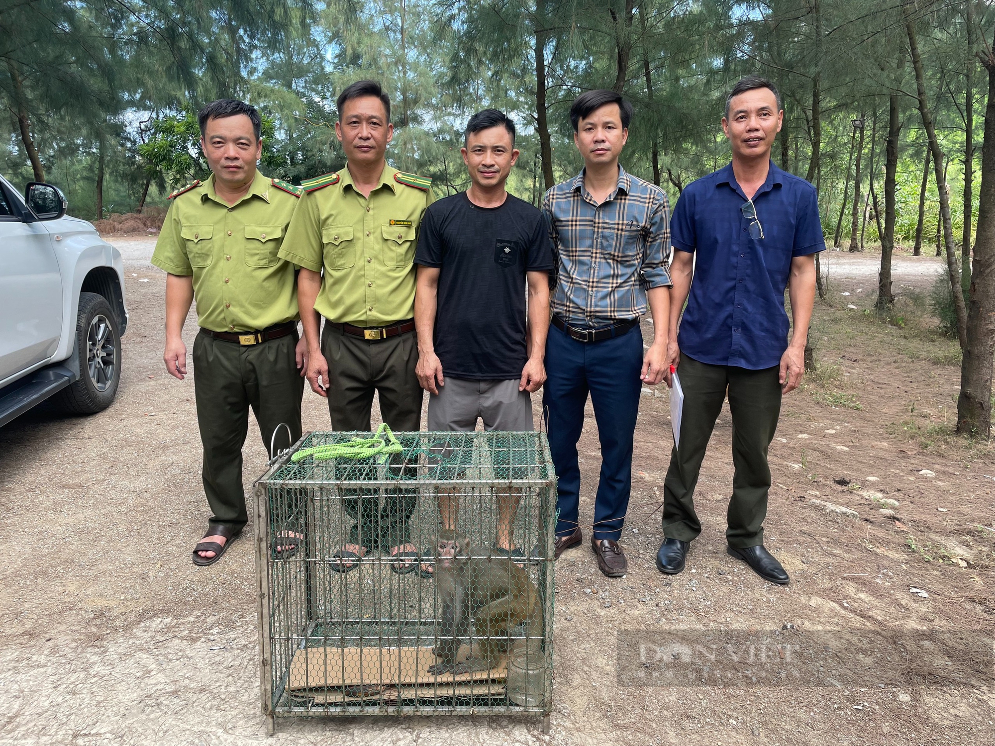 Ba con động vật hoang dã quý hiếm đi lạc vào nhà, người dân Hà Tĩnh giao nộp cho kiểm lâm- Ảnh 3.