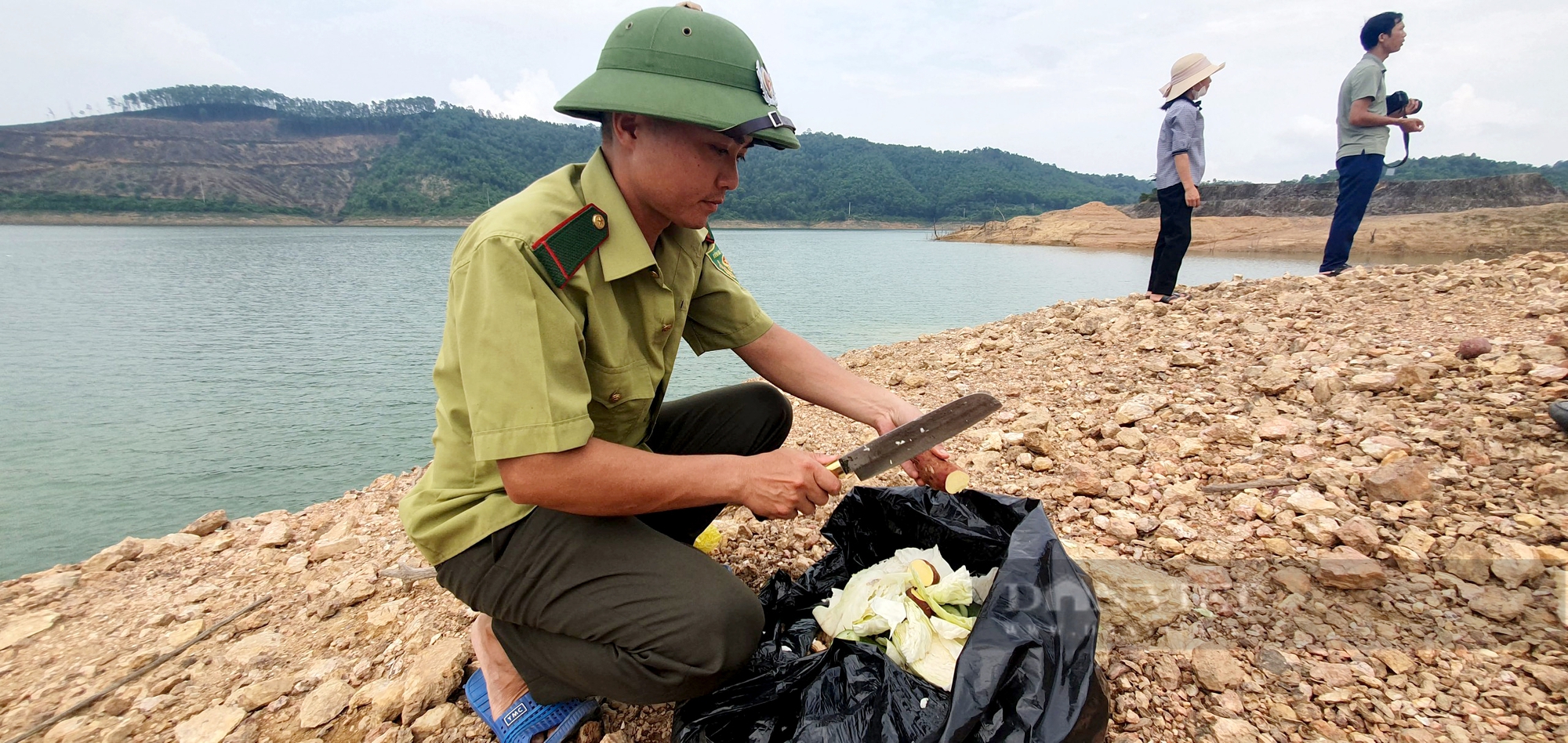 Một đàn động vật hoang dã quý hiếm vui vẻ trên đảo Cô Đơn giữa lòng hồ bát ngát ở Hà Tĩnh- Ảnh 5.