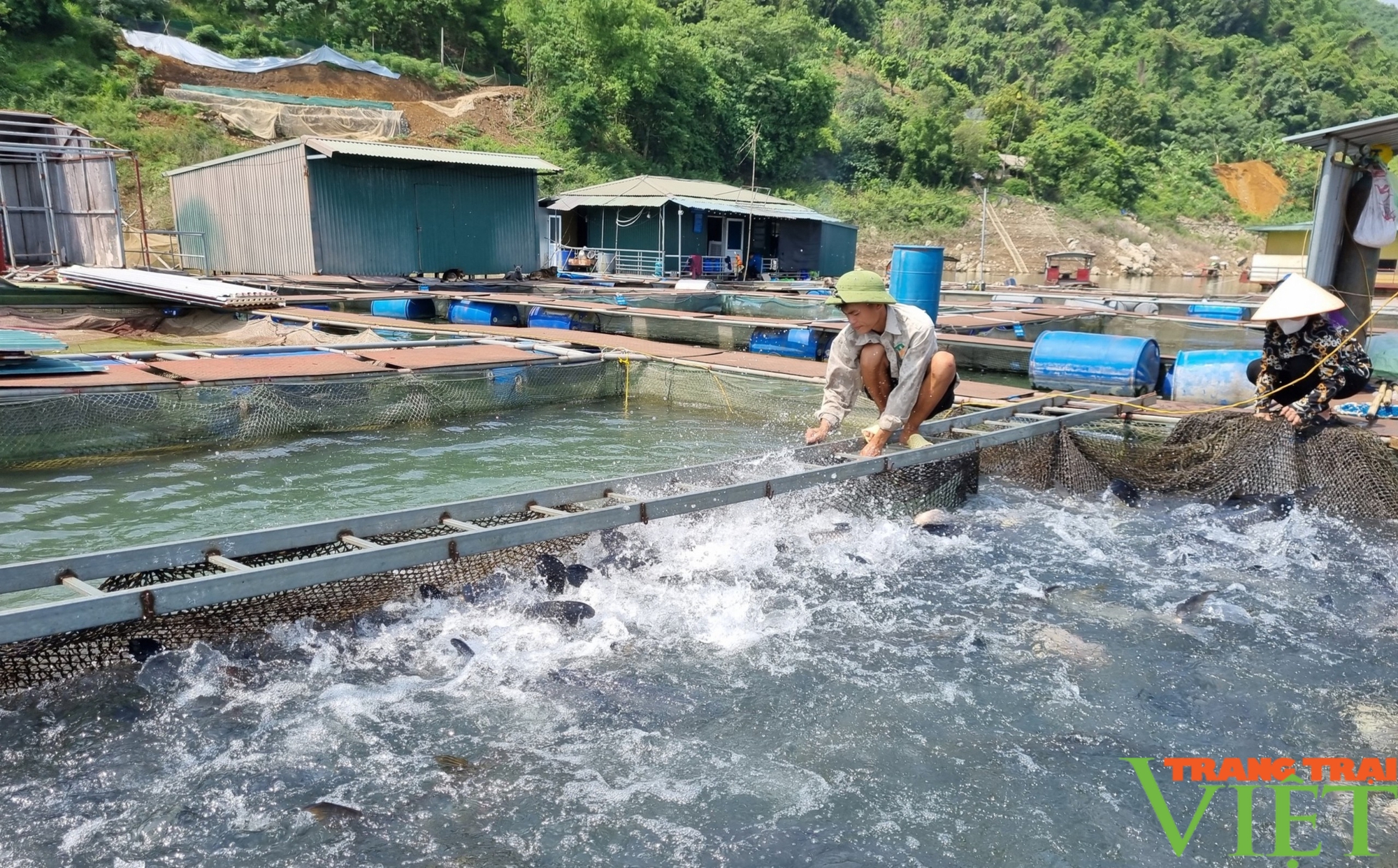 Hòa Bình xây dựng và phát triển sản phẩm OCOP thủy sản từ thế mạnh lòng hồ thủy điện- Ảnh 2.