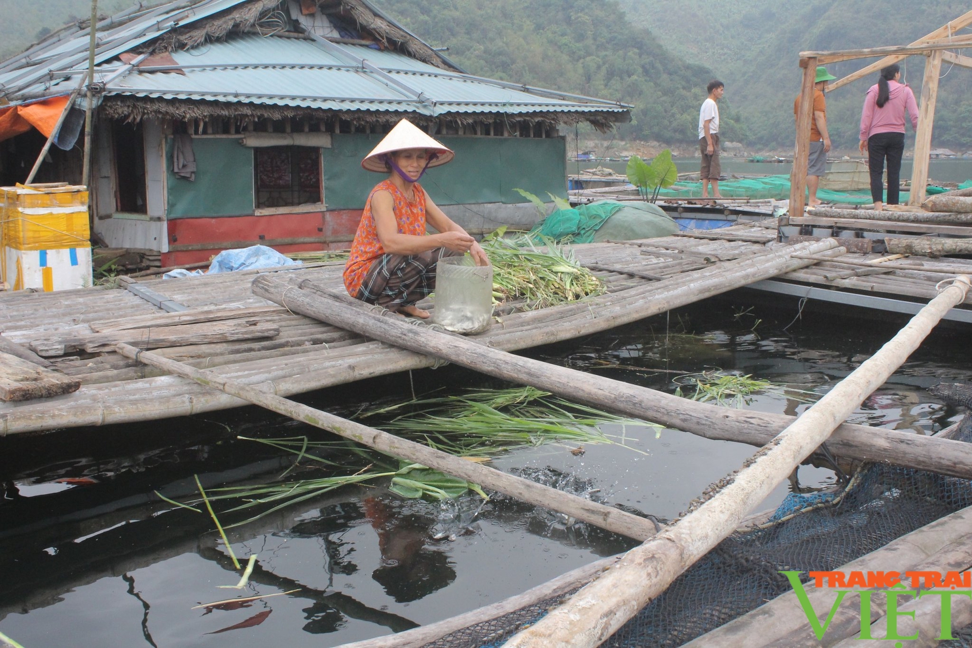 Hòa Bình xây dựng và phát triển sản phẩm OCOP thủy sản từ thế mạnh lòng hồ thủy điện- Ảnh 3.