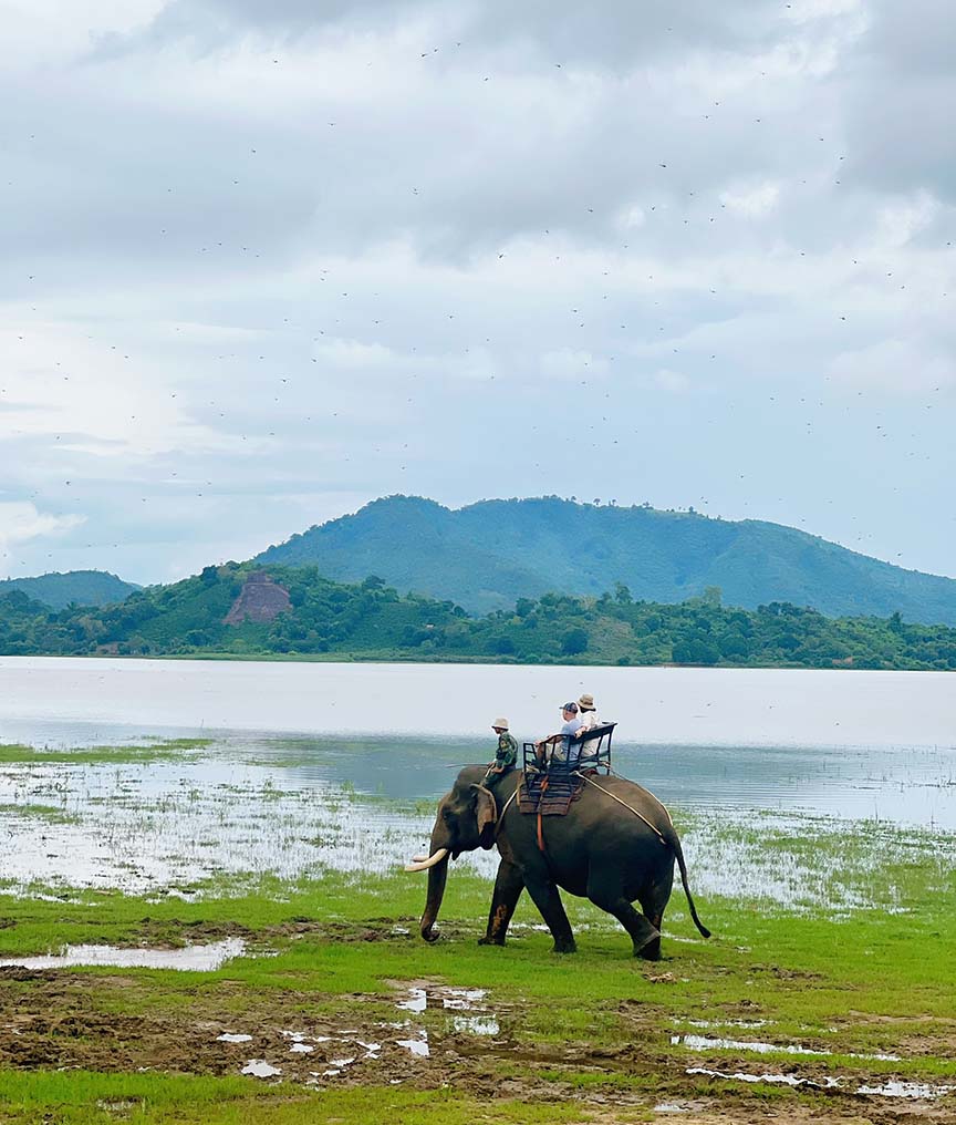 Du lịch Tây Nguyên: Chàng trai đam mê xê dịch từ chối cưỡi voi tại Buôn Jun, Đắk Lắk- Ảnh 9.