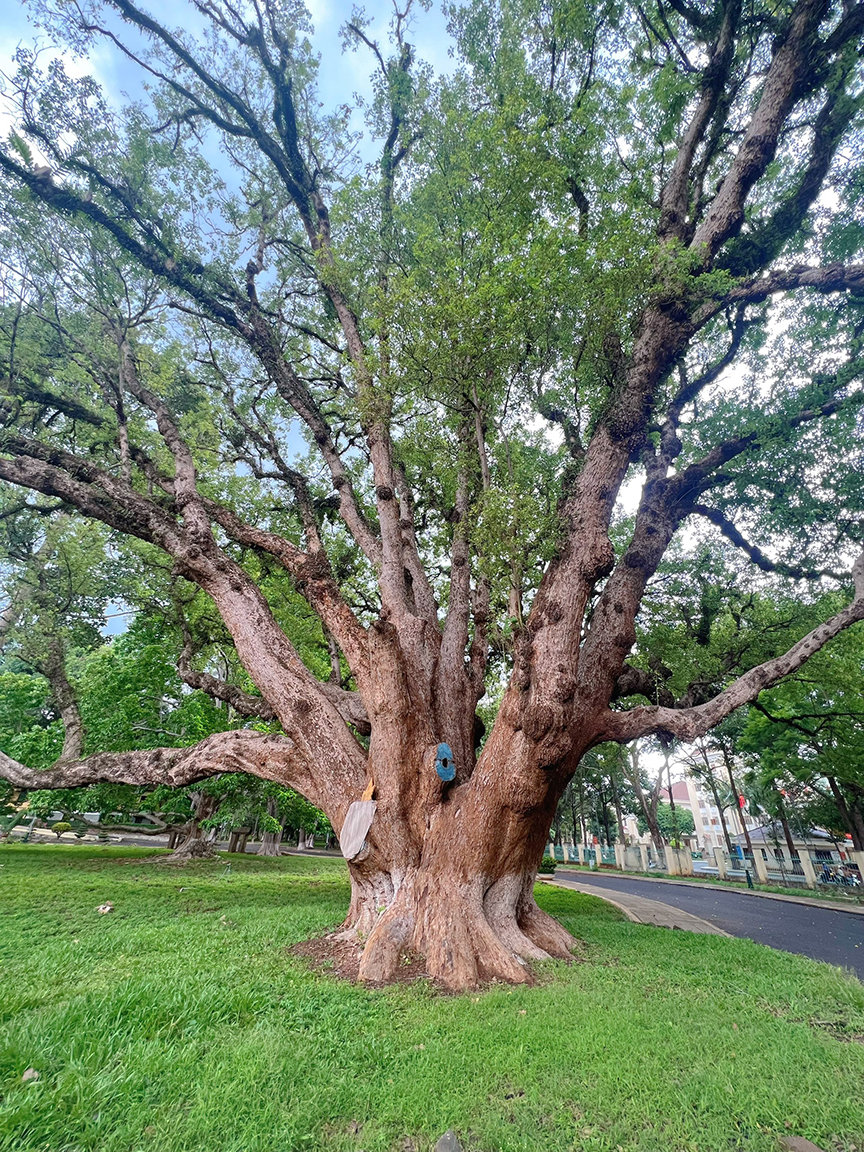 Du lịch Tây Nguyên: Chàng trai đam mê xê dịch từ chối cưỡi voi tại Buôn Jun, Đắk Lắk- Ảnh 4.