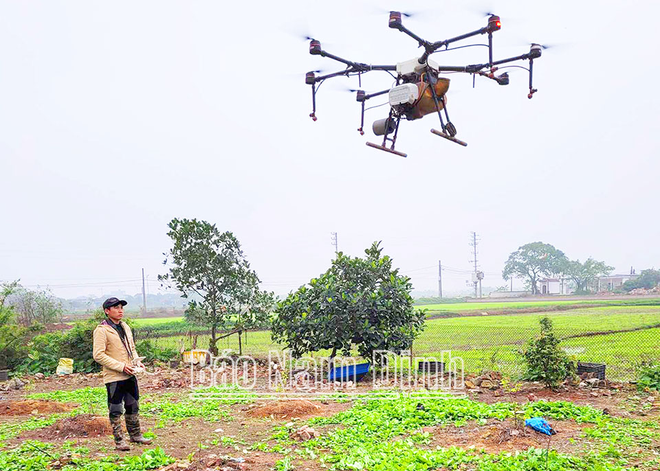 Một HTX ở Nam Định thu tiền tỷ nhờ trồng lúa, trồng hoa hòe, Giám đốc HTX chia sẻ kinh nghiệm chuyển đổi số- Ảnh 2.