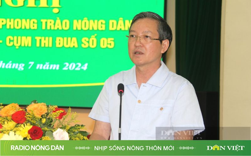 Radio online Nhịp sống Nông thôn mới ngày 8.7.2024-Radio trực tuyến-Radio truyện-Radio Nông dân- Ảnh 1.