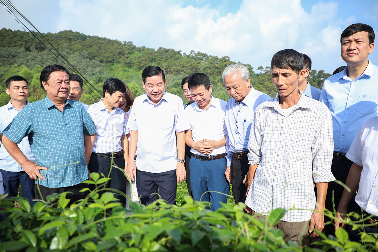 Làm việc với lãnh đạo tỉnh Bắc Giang, Bộ trưởng Lê Minh Hoan gợi mở điều gì để nông nghiệp tỉnh này phát triển?- Ảnh 1.