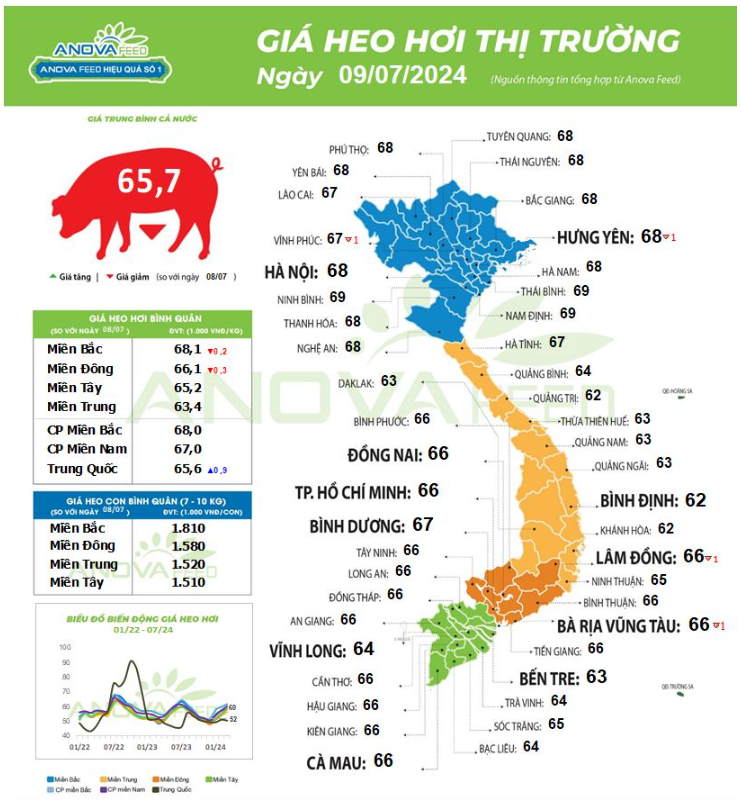 Giá lợn hơi biến động, giảm rải rác từ Bắc vào Nam- Ảnh 1.